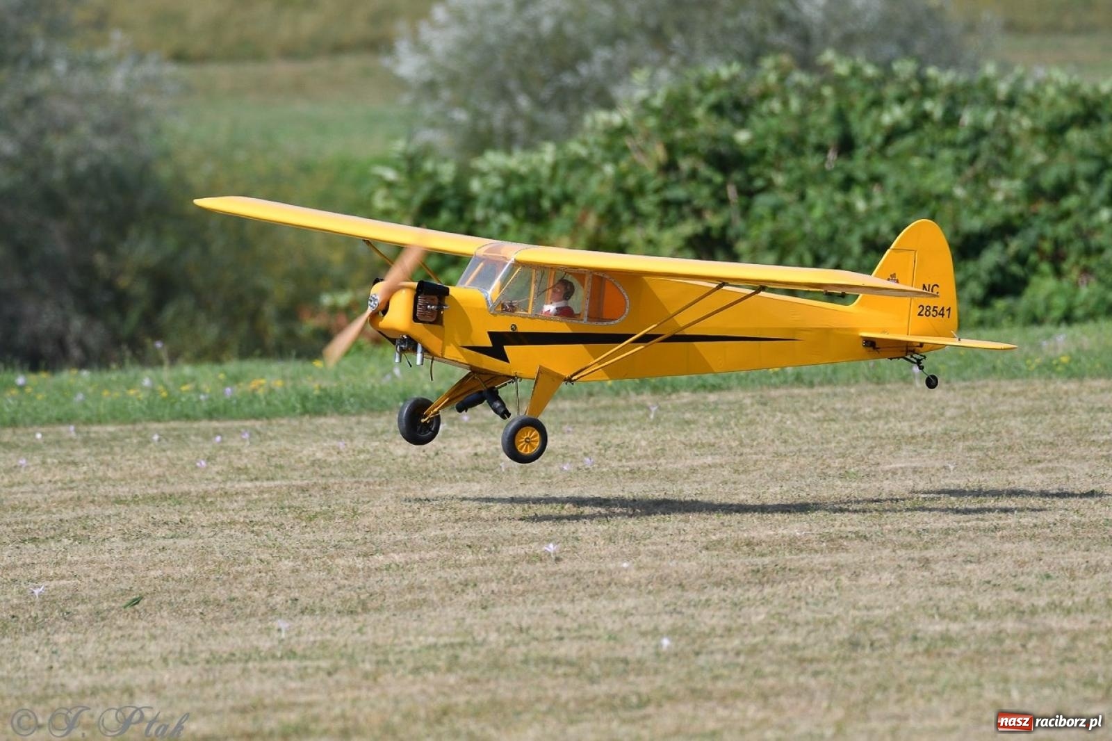 Zdjęcie w galerii na portalu naszraciborz.pl: XVII Międzynarodowy Piknik Modelarski w Raciborzu. W niedzielę drugi dzień pokazów wiadomości z regionu