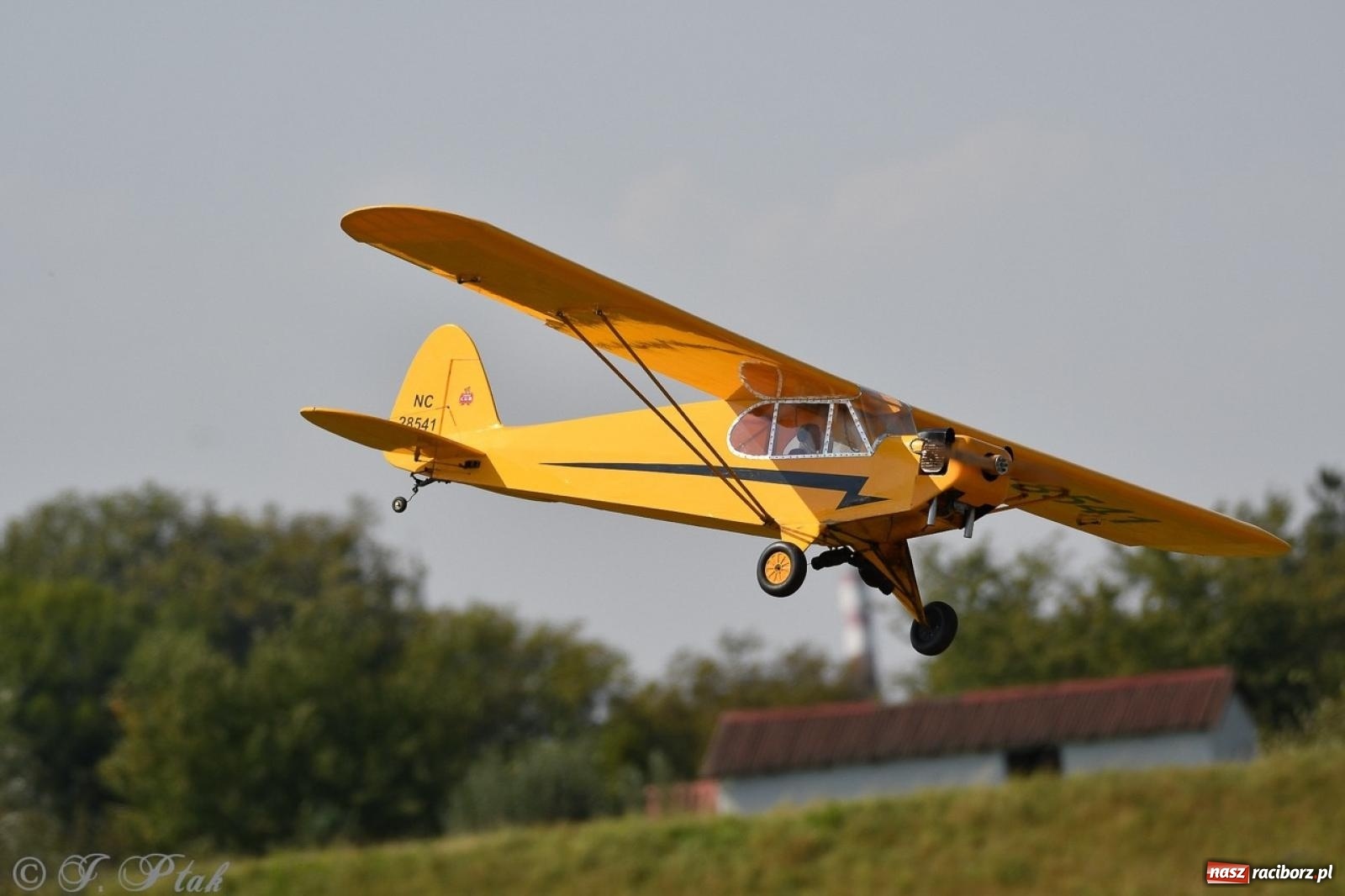 Zdjęcie w galerii na portalu naszraciborz.pl: XVII Międzynarodowy Piknik Modelarski w Raciborzu. W niedzielę drugi dzień pokazów wiadomości z regionu