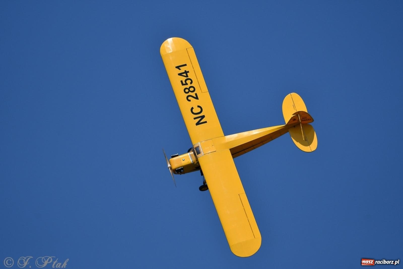 Zdjęcie w galerii na portalu naszraciborz.pl: XVII Międzynarodowy Piknik Modelarski w Raciborzu. W niedzielę drugi dzień pokazów wiadomości z regionu