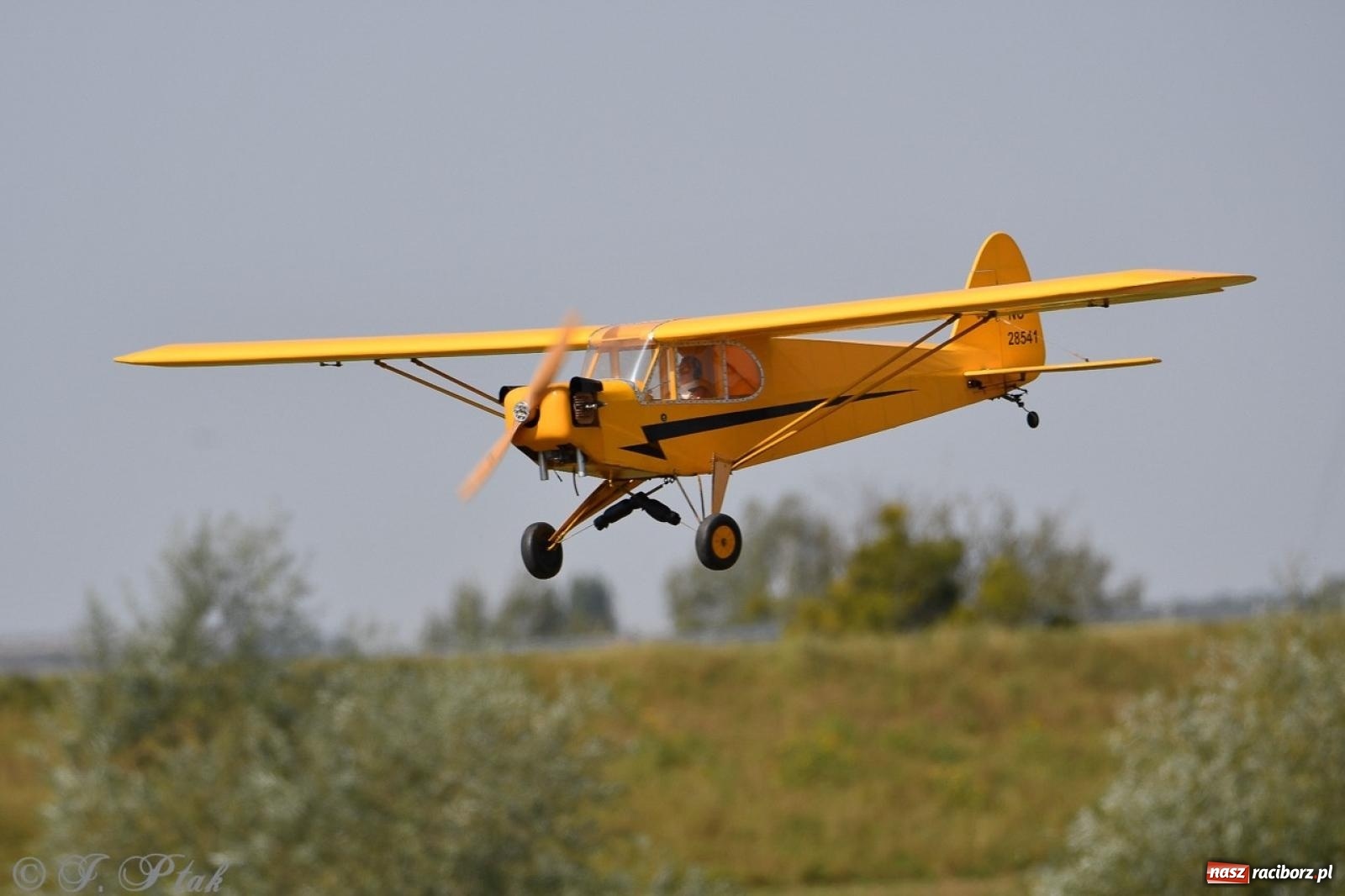 Zdjęcie w galerii na portalu naszraciborz.pl: XVII Międzynarodowy Piknik Modelarski w Raciborzu. W niedzielę drugi dzień pokazów wiadomości z regionu