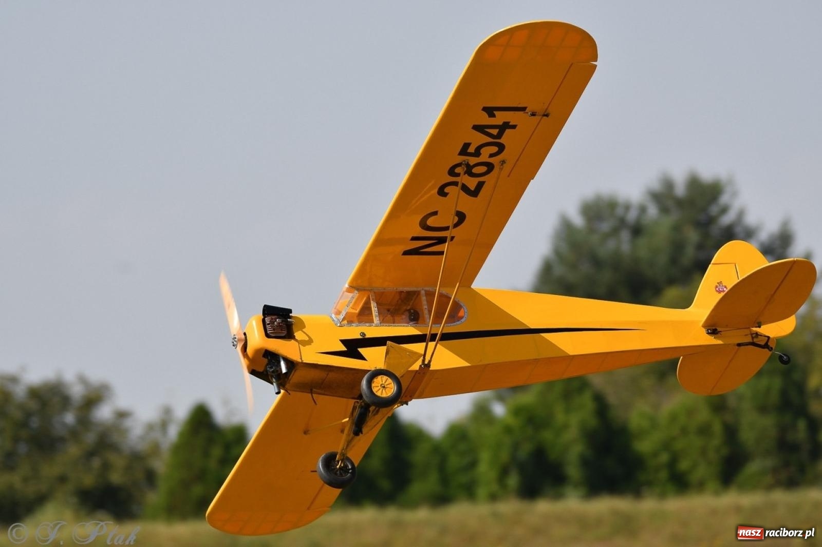 Zdjęcie w galerii na portalu naszraciborz.pl: XVII Międzynarodowy Piknik Modelarski w Raciborzu. W niedzielę drugi dzień pokazów wiadomości z regionu