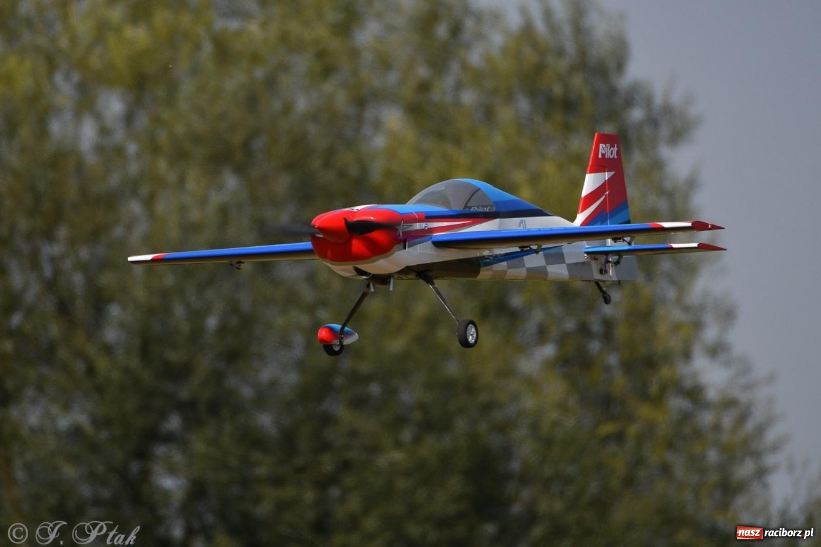 Zdjęcie w galerii na portalu naszraciborz.pl: XVII Międzynarodowy Piknik Modelarski w Raciborzu. W niedzielę drugi dzień pokazów wiadomości z regionu