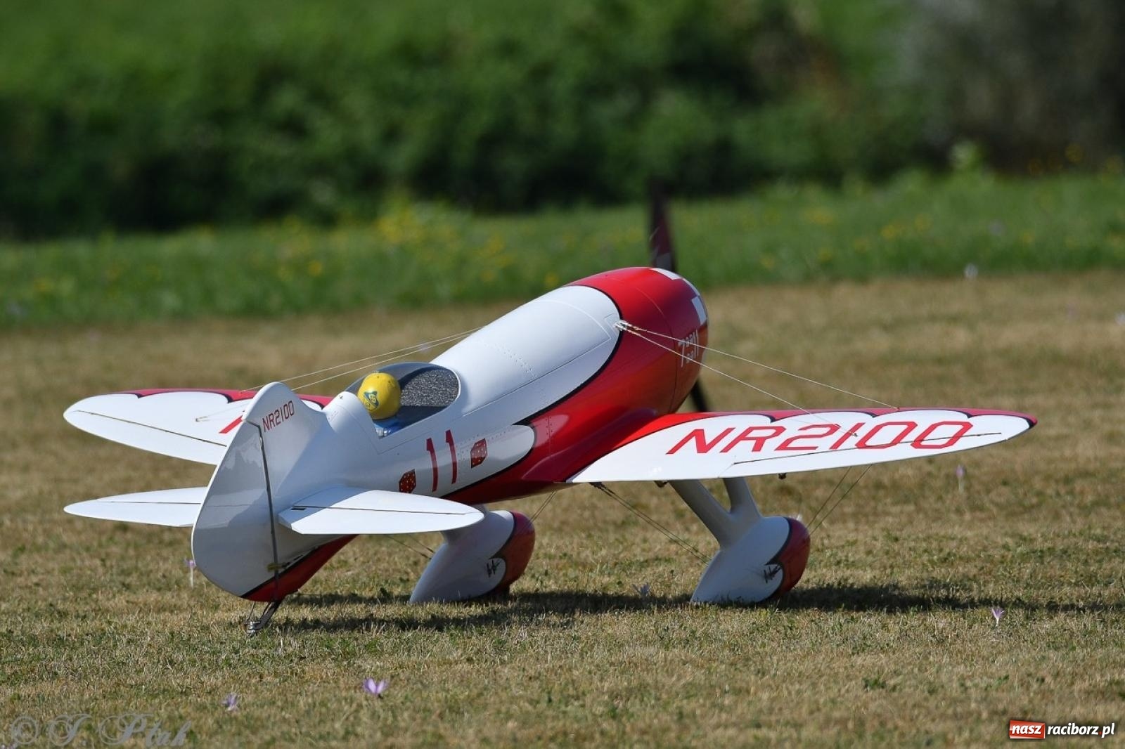 Zdjęcie w galerii na portalu naszraciborz.pl: XVII Międzynarodowy Piknik Modelarski w Raciborzu. W niedzielę drugi dzień pokazów wiadomości z regionu