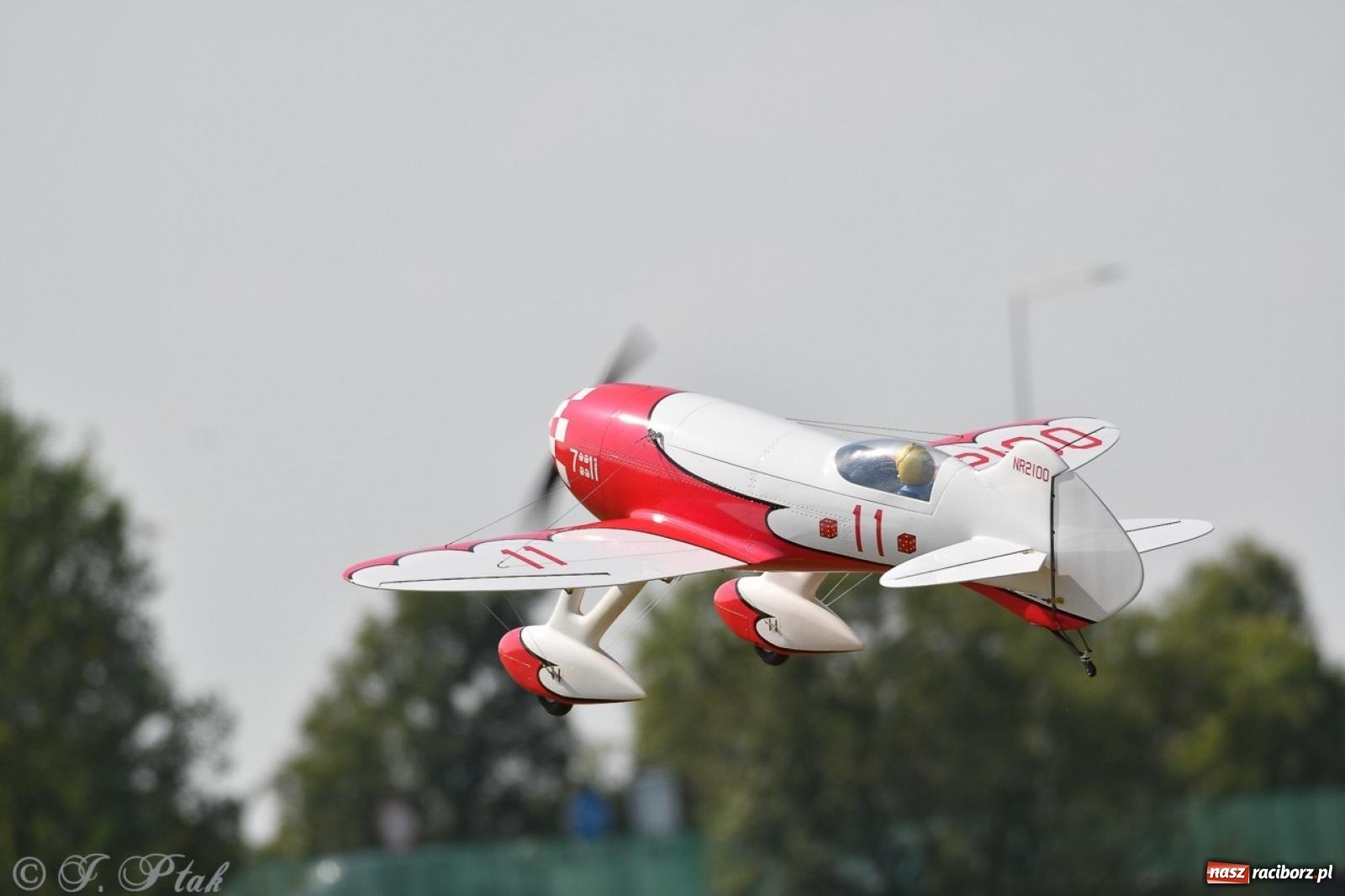 Zdjęcie w galerii na portalu naszraciborz.pl: XVII Międzynarodowy Piknik Modelarski w Raciborzu. W niedzielę drugi dzień pokazów wiadomości z regionu