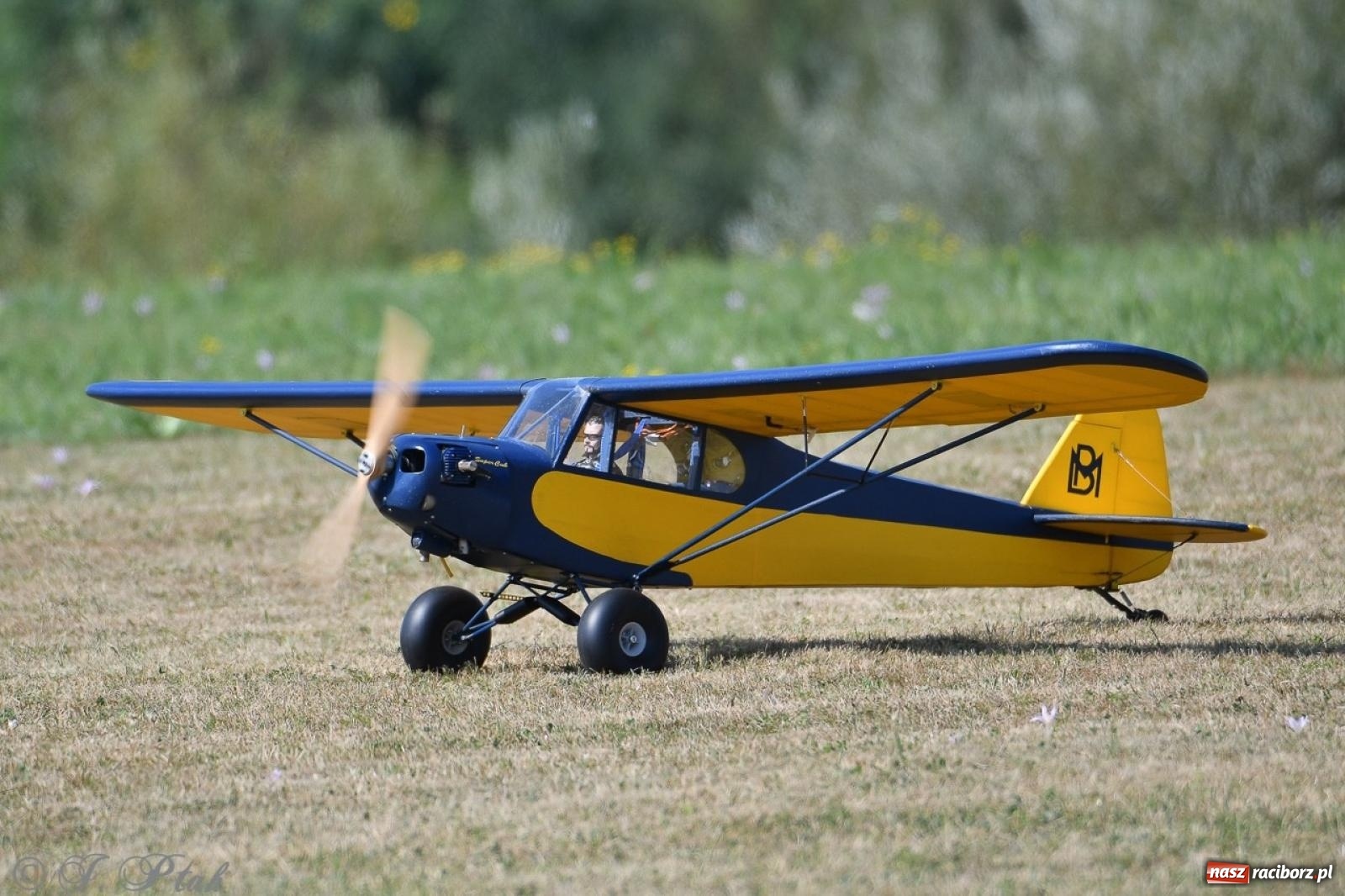 Zdjęcie w galerii na portalu naszraciborz.pl: XVII Międzynarodowy Piknik Modelarski w Raciborzu. W niedzielę drugi dzień pokazów wiadomości z regionu