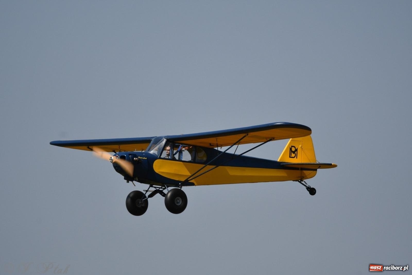 Zdjęcie w galerii na portalu naszraciborz.pl: XVII Międzynarodowy Piknik Modelarski w Raciborzu. W niedzielę drugi dzień pokazów wiadomości z regionu