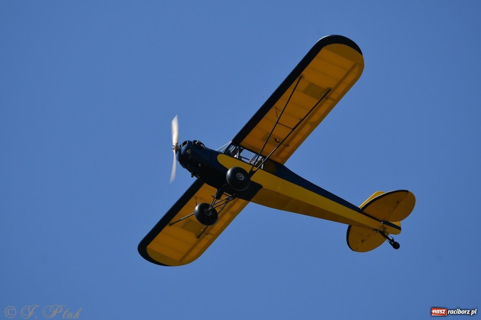Zdjęcie w galerii na portalu naszraciborz.pl: XVII Międzynarodowy Piknik Modelarski w Raciborzu. W niedzielę drugi dzień pokazów wiadomości z regionu