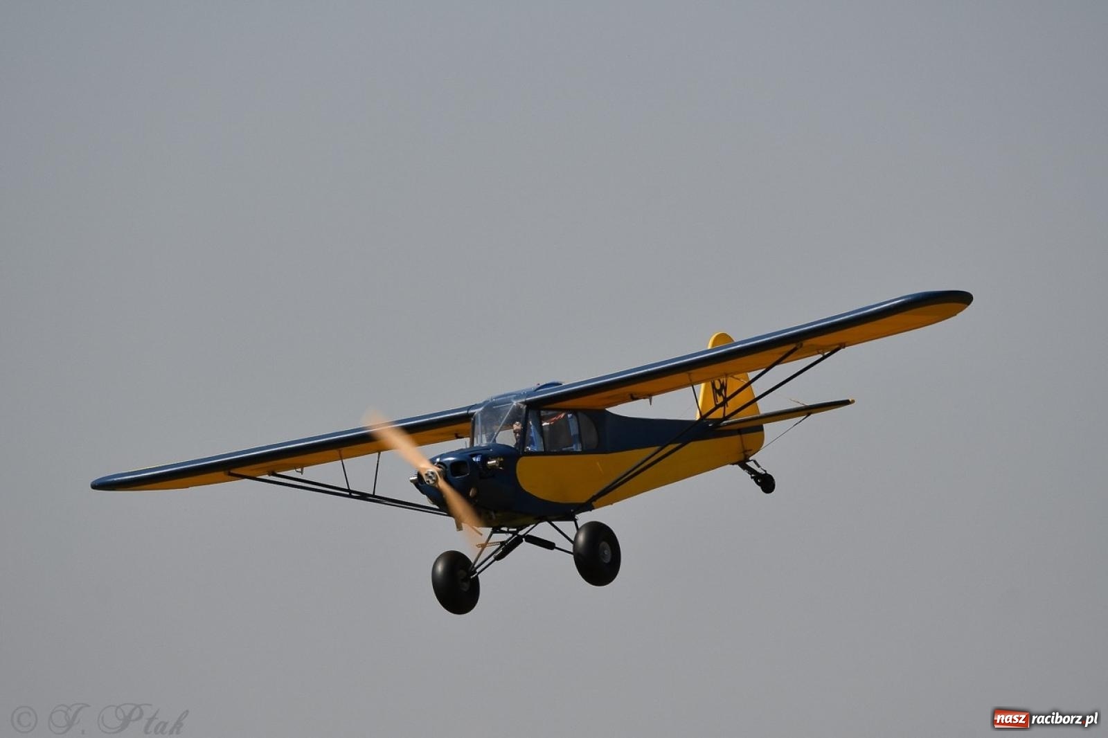 Zdjęcie w galerii na portalu naszraciborz.pl: XVII Międzynarodowy Piknik Modelarski w Raciborzu. W niedzielę drugi dzień pokazów wiadomości z regionu