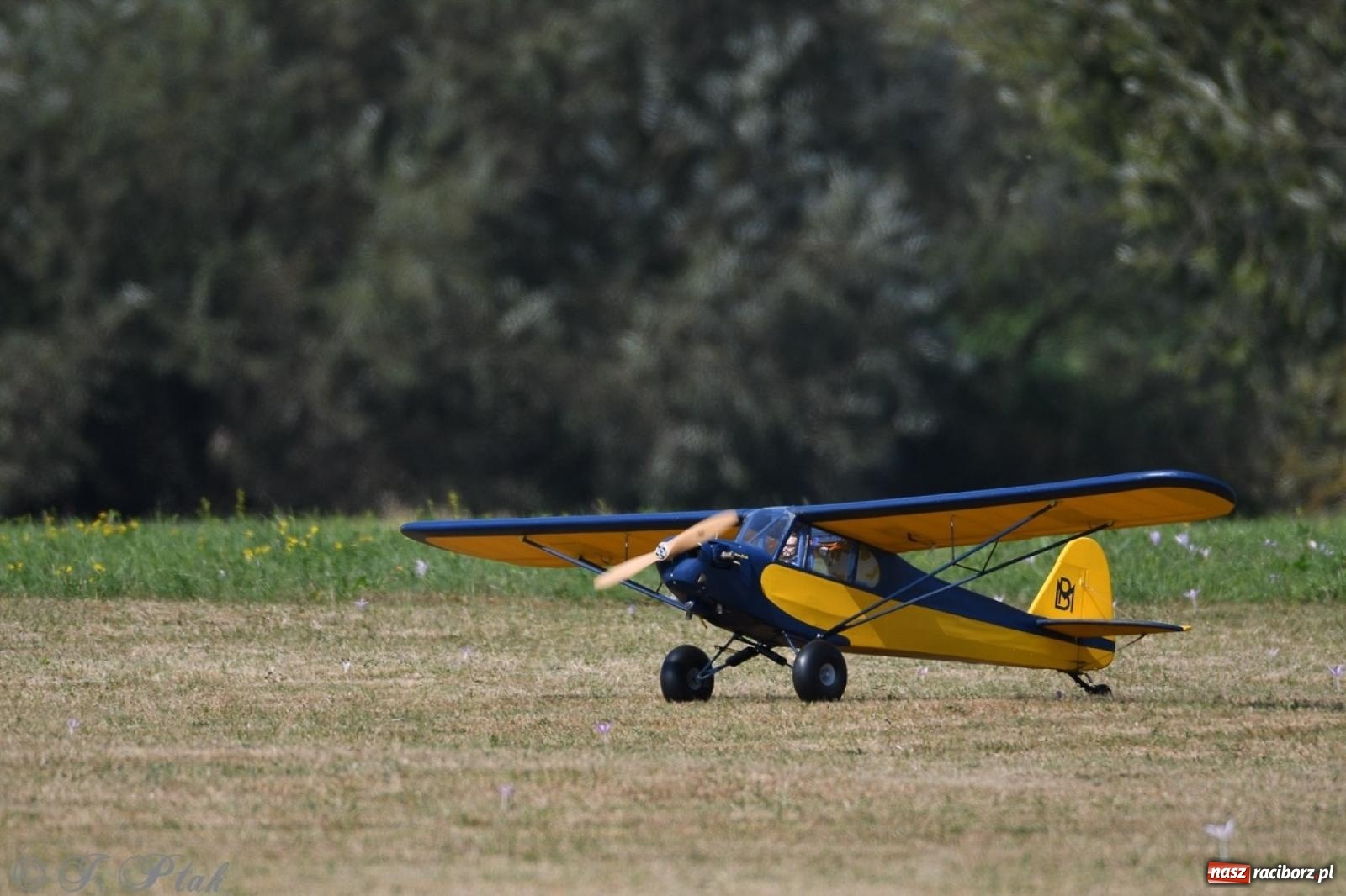 Zdjęcie w galerii na portalu naszraciborz.pl: XVII Międzynarodowy Piknik Modelarski w Raciborzu. W niedzielę drugi dzień pokazów wiadomości z regionu