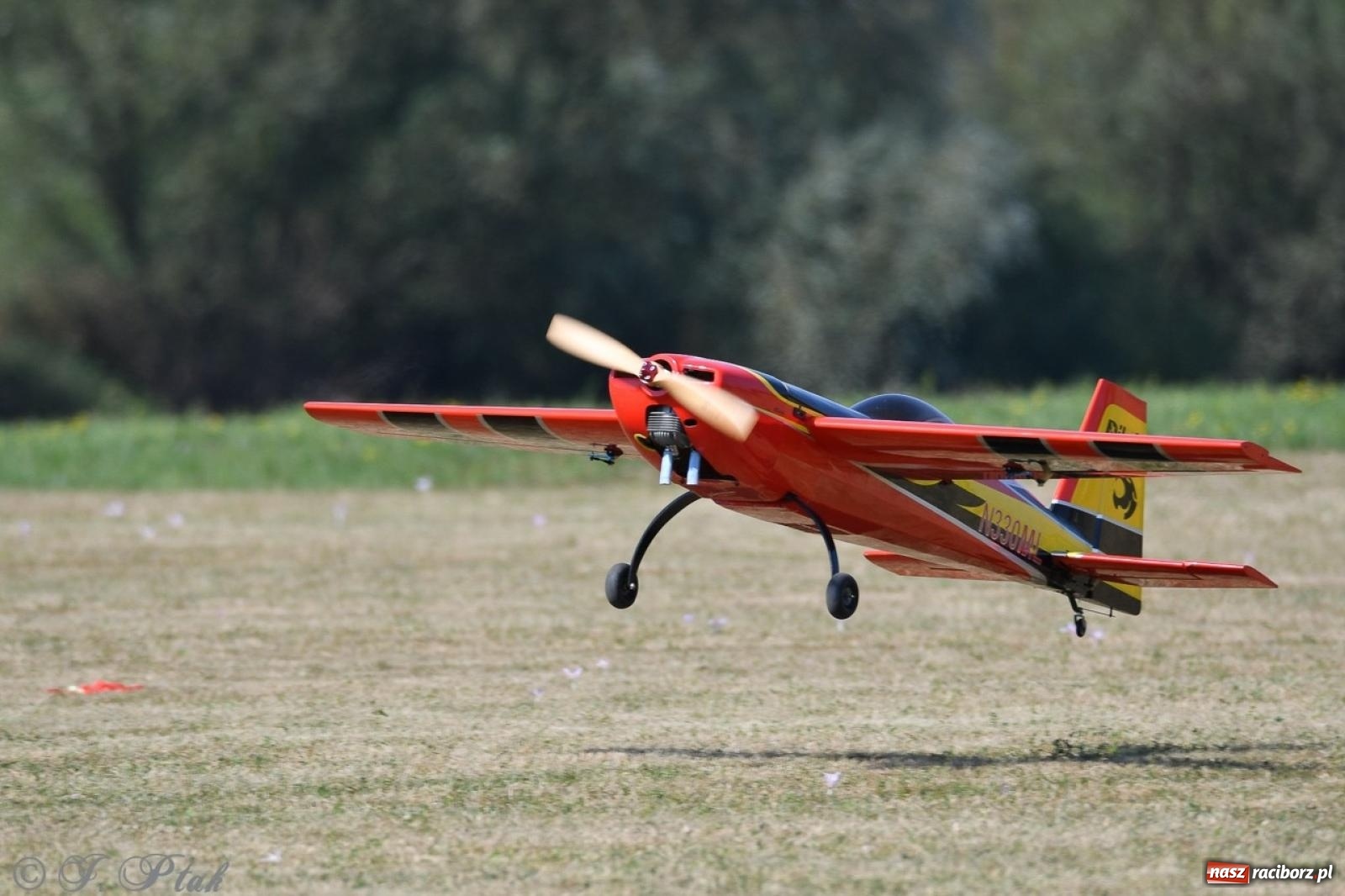Zdjęcie w galerii na portalu naszraciborz.pl: XVII Międzynarodowy Piknik Modelarski w Raciborzu. W niedzielę drugi dzień pokazów wiadomości z regionu