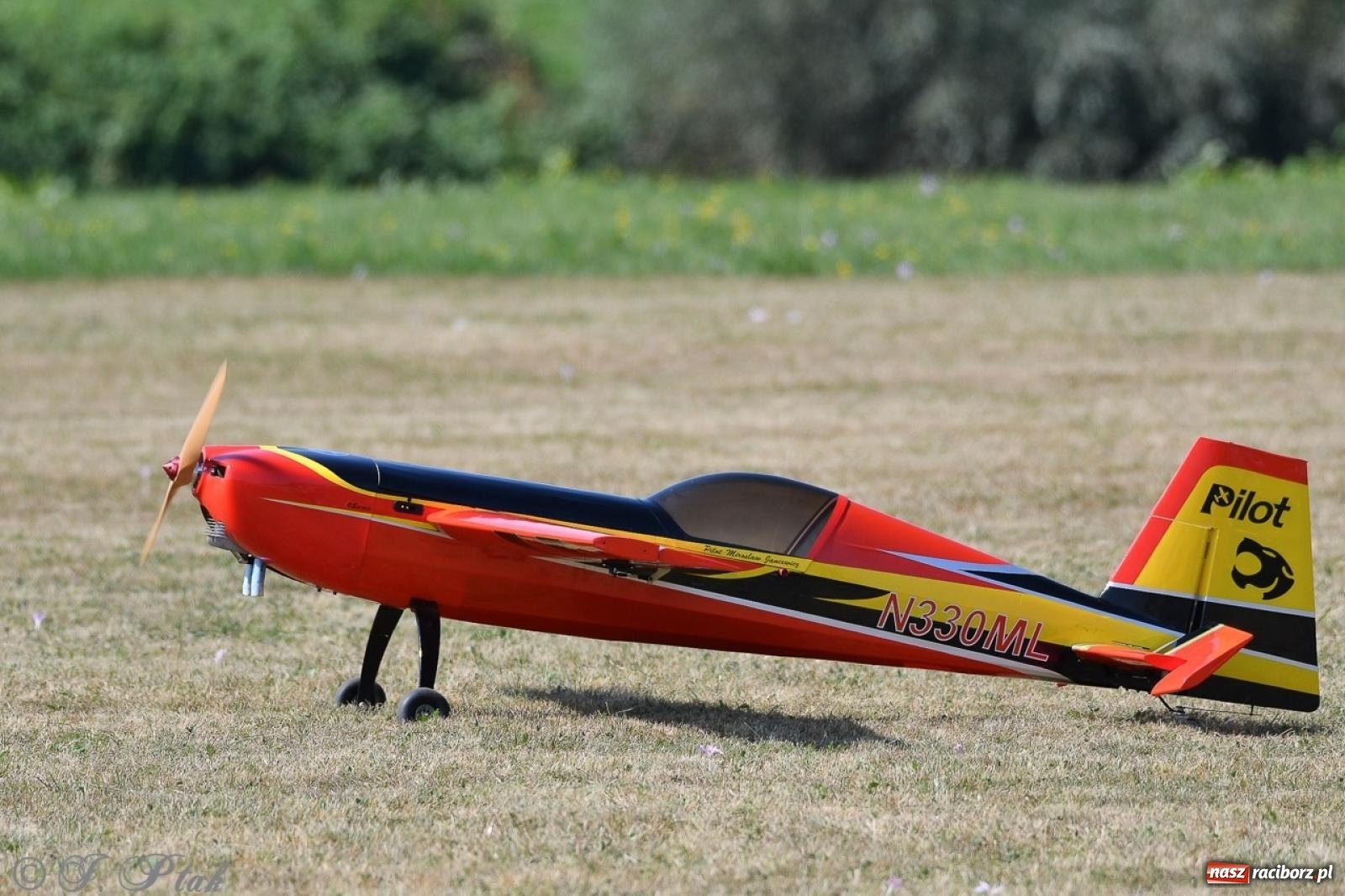 Zdjęcie w galerii na portalu naszraciborz.pl: XVII Międzynarodowy Piknik Modelarski w Raciborzu. W niedzielę drugi dzień pokazów wiadomości z regionu