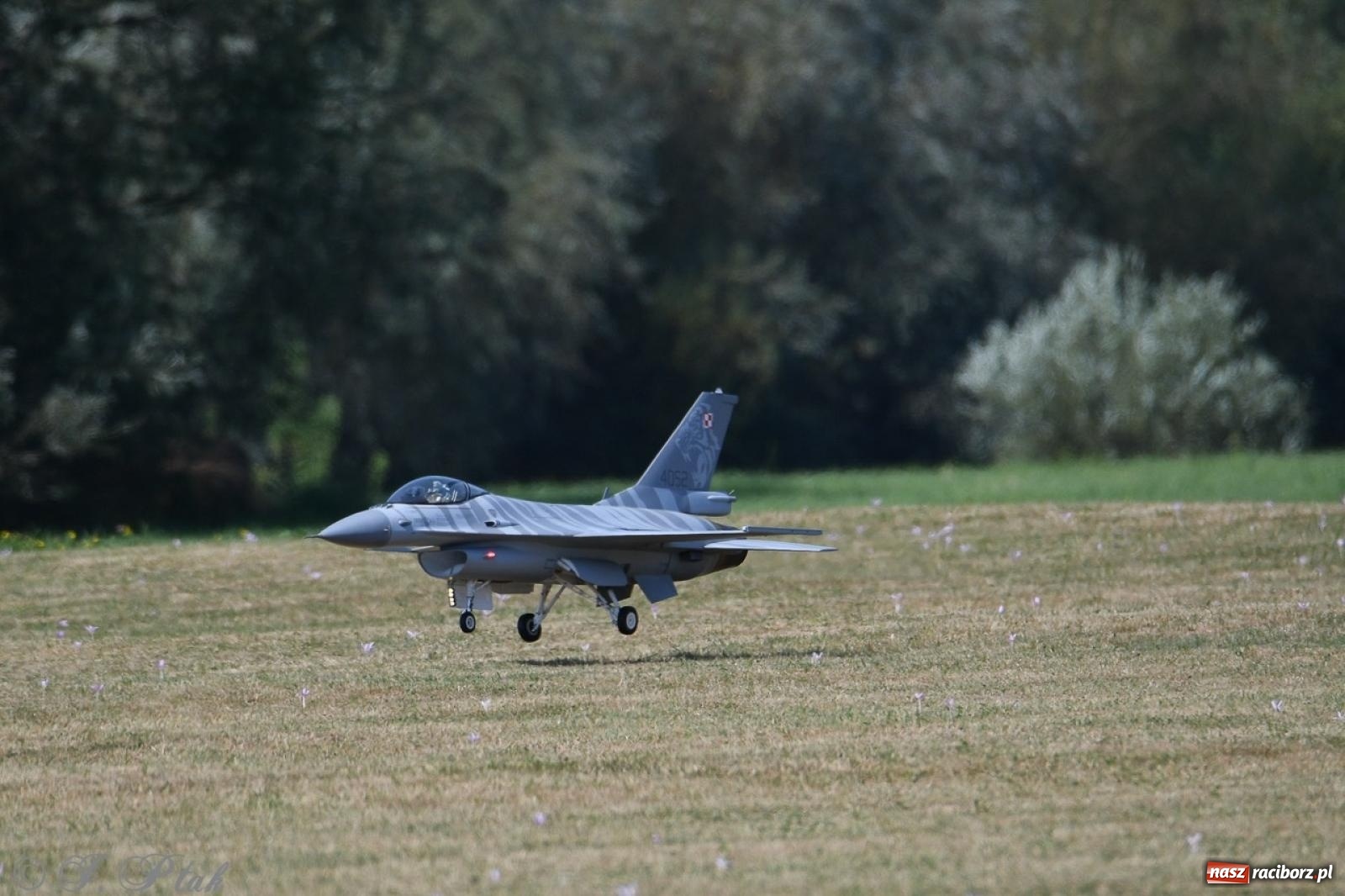 Zdjęcie w galerii na portalu naszraciborz.pl: XVII Międzynarodowy Piknik Modelarski w Raciborzu. W niedzielę drugi dzień pokazów wiadomości z regionu