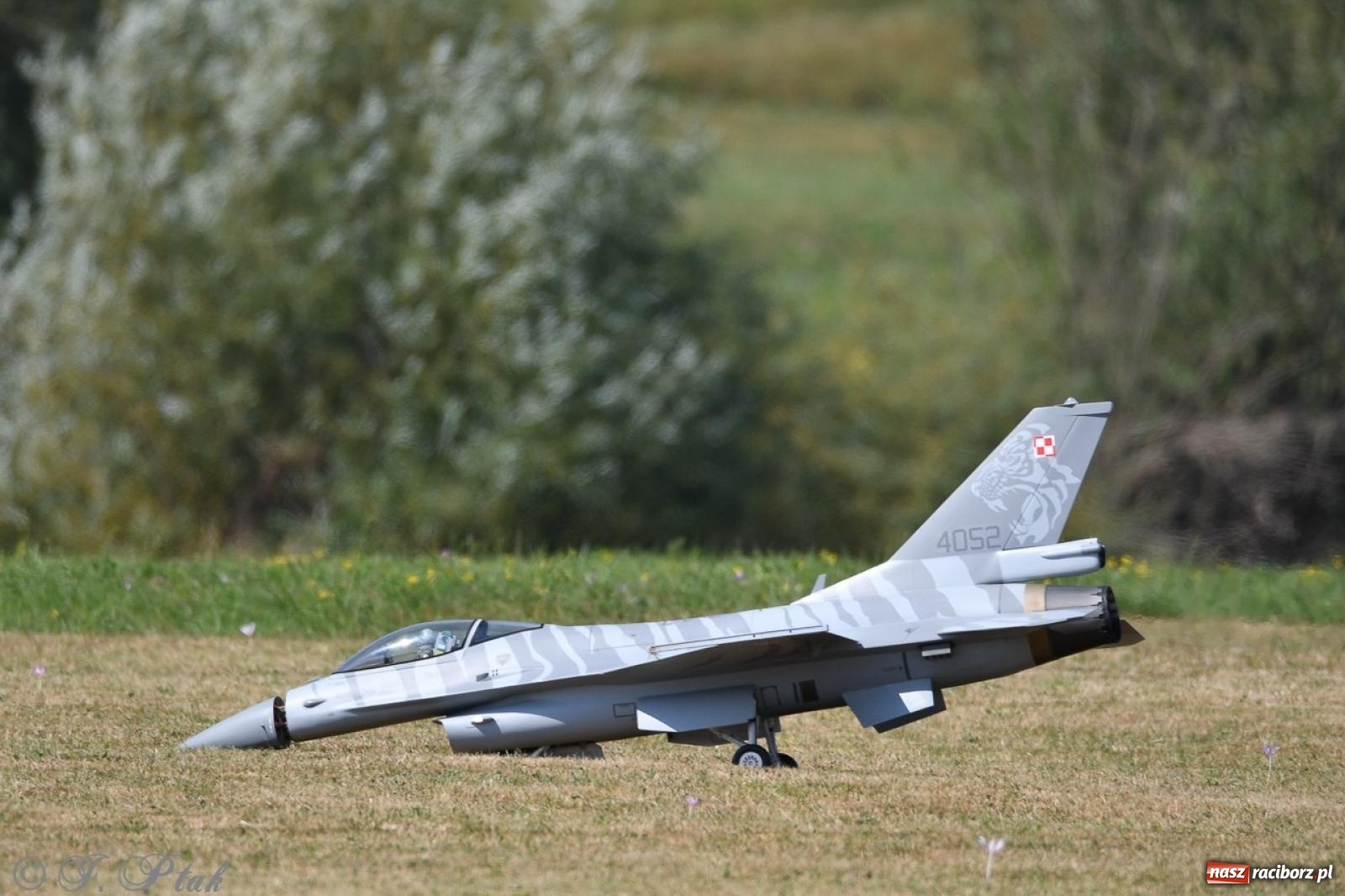 Zdjęcie w galerii na portalu naszraciborz.pl: XVII Międzynarodowy Piknik Modelarski w Raciborzu. W niedzielę drugi dzień pokazów wiadomości z regionu