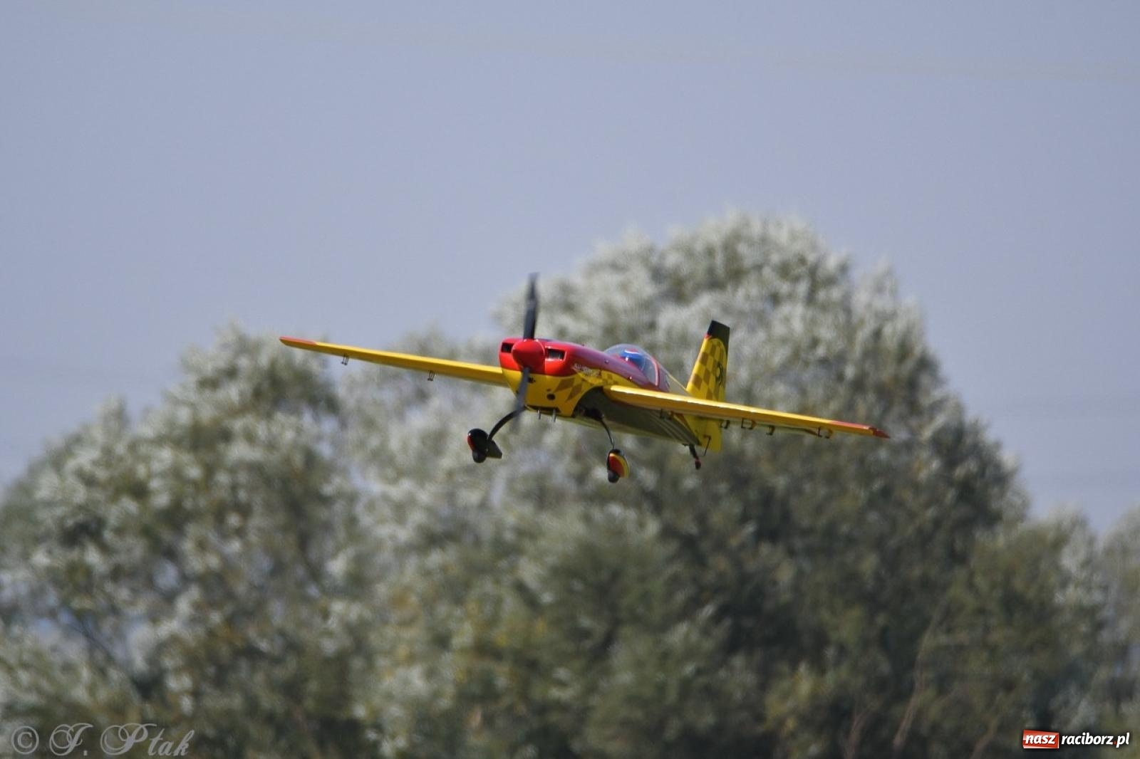 Zdjęcie w galerii na portalu naszraciborz.pl: XVII Międzynarodowy Piknik Modelarski w Raciborzu. W niedzielę drugi dzień pokazów wiadomości z regionu