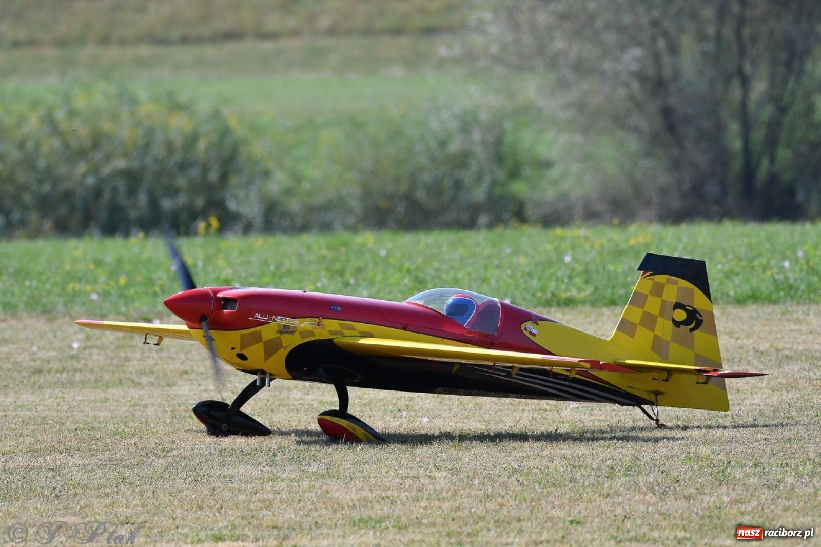 Zdjęcie w galerii na portalu naszraciborz.pl: XVII Międzynarodowy Piknik Modelarski w Raciborzu. W niedzielę drugi dzień pokazów wiadomości z regionu