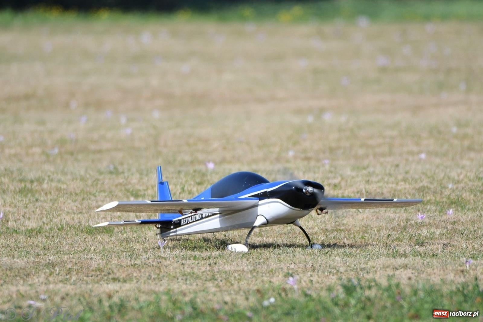 Zdjęcie w galerii na portalu naszraciborz.pl: XVII Międzynarodowy Piknik Modelarski w Raciborzu. W niedzielę drugi dzień pokazów wiadomości z regionu