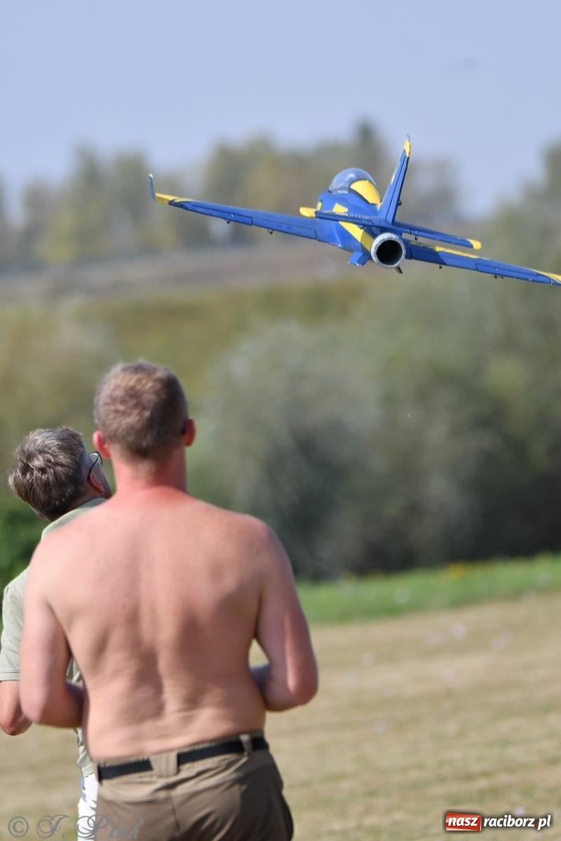 Zdjęcie w galerii na portalu naszraciborz.pl: XVII Międzynarodowy Piknik Modelarski w Raciborzu. W niedzielę drugi dzień pokazów wiadomości z regionu