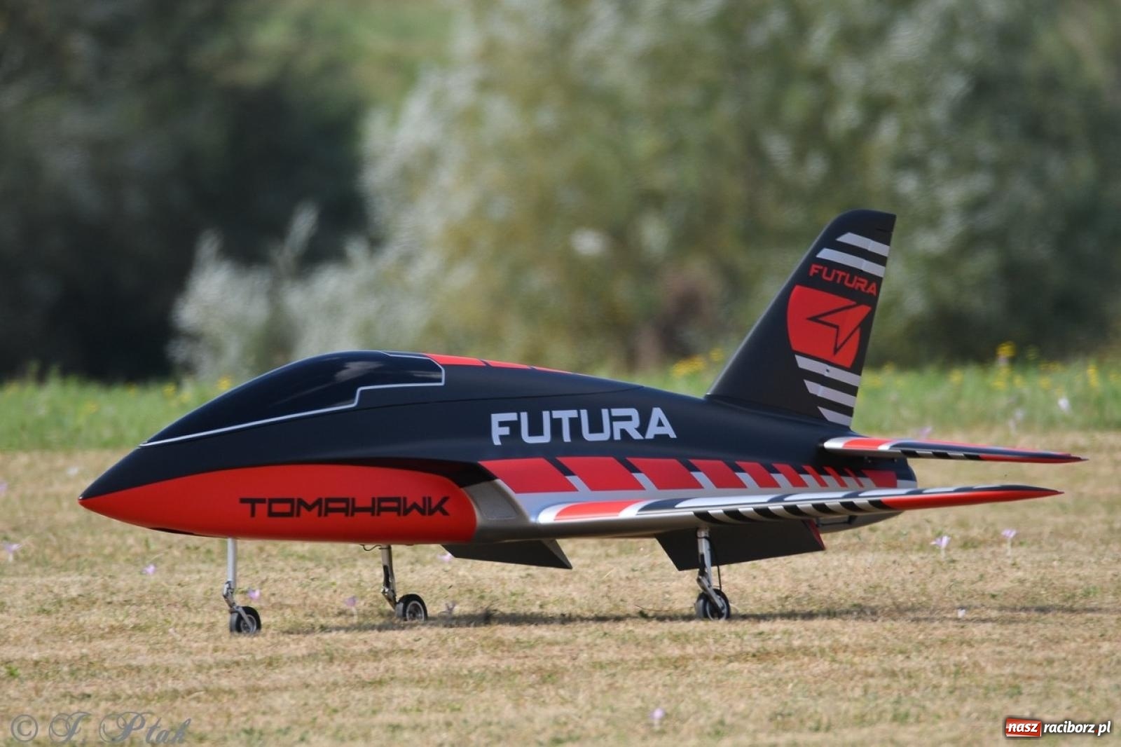 Zdjęcie w galerii na portalu naszraciborz.pl: XVII Międzynarodowy Piknik Modelarski w Raciborzu. W niedzielę drugi dzień pokazów wiadomości z regionu