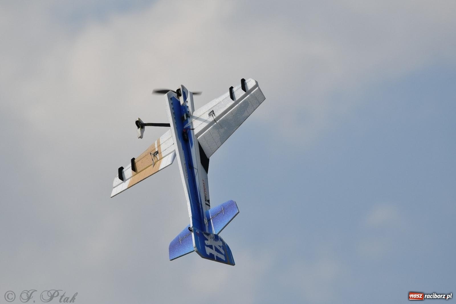 Zdjęcie w galerii na portalu naszraciborz.pl: XVII Międzynarodowy Piknik Modelarski w Raciborzu. W niedzielę drugi dzień pokazów wiadomości z regionu