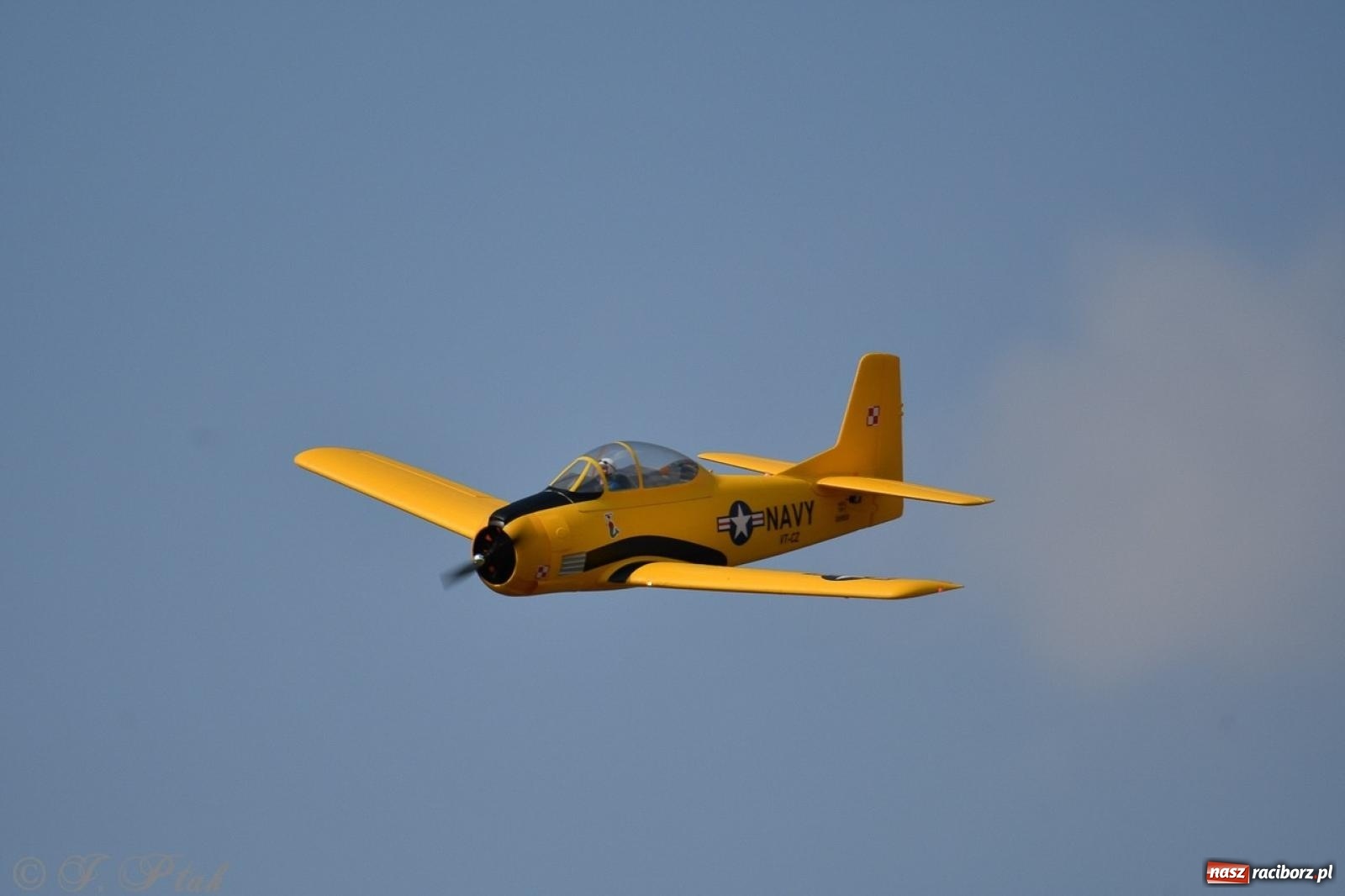 Zdjęcie w galerii na portalu naszraciborz.pl: XVII Międzynarodowy Piknik Modelarski w Raciborzu. W niedzielę drugi dzień pokazów wiadomości z regionu