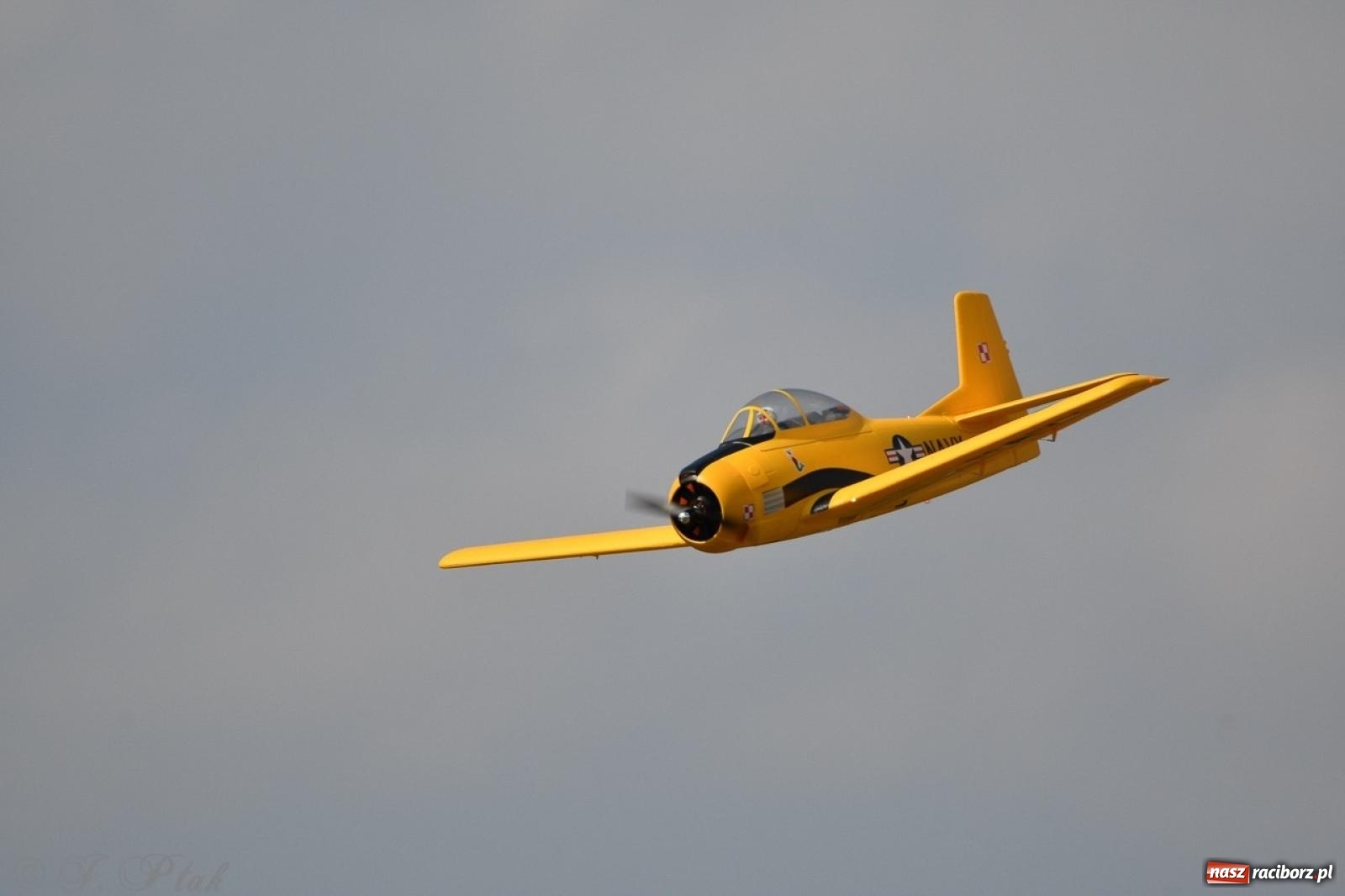 Zdjęcie w galerii na portalu naszraciborz.pl: XVII Międzynarodowy Piknik Modelarski w Raciborzu. W niedzielę drugi dzień pokazów wiadomości z regionu