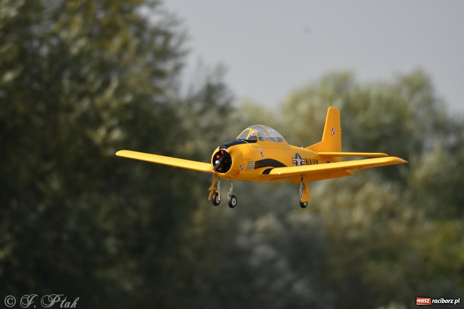 Zdjęcie w galerii na portalu naszraciborz.pl: XVII Międzynarodowy Piknik Modelarski w Raciborzu. W niedzielę drugi dzień pokazów wiadomości z regionu