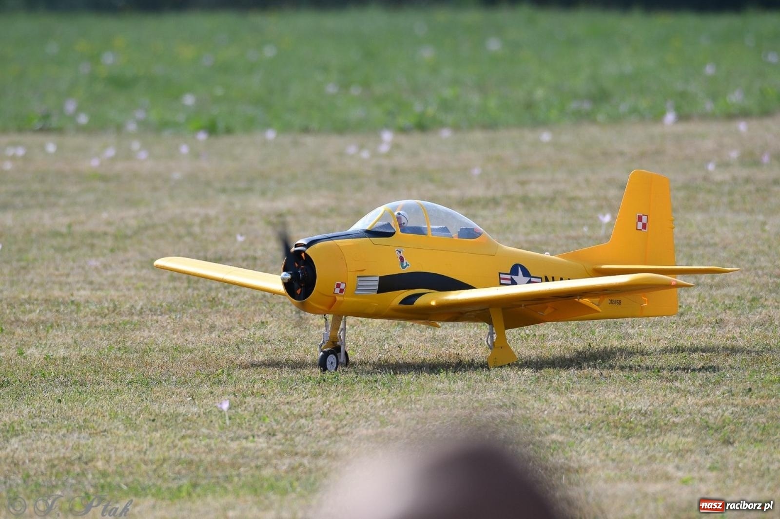 Zdjęcie w galerii na portalu naszraciborz.pl: XVII Międzynarodowy Piknik Modelarski w Raciborzu. W niedzielę drugi dzień pokazów wiadomości z regionu