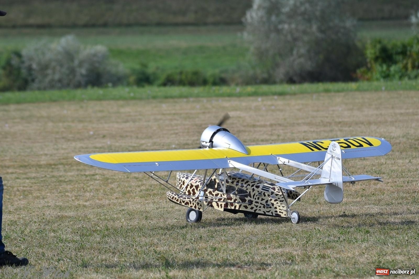 Zdjęcie w galerii na portalu naszraciborz.pl: XVII Międzynarodowy Piknik Modelarski w Raciborzu. W niedzielę drugi dzień pokazów wiadomości z regionu