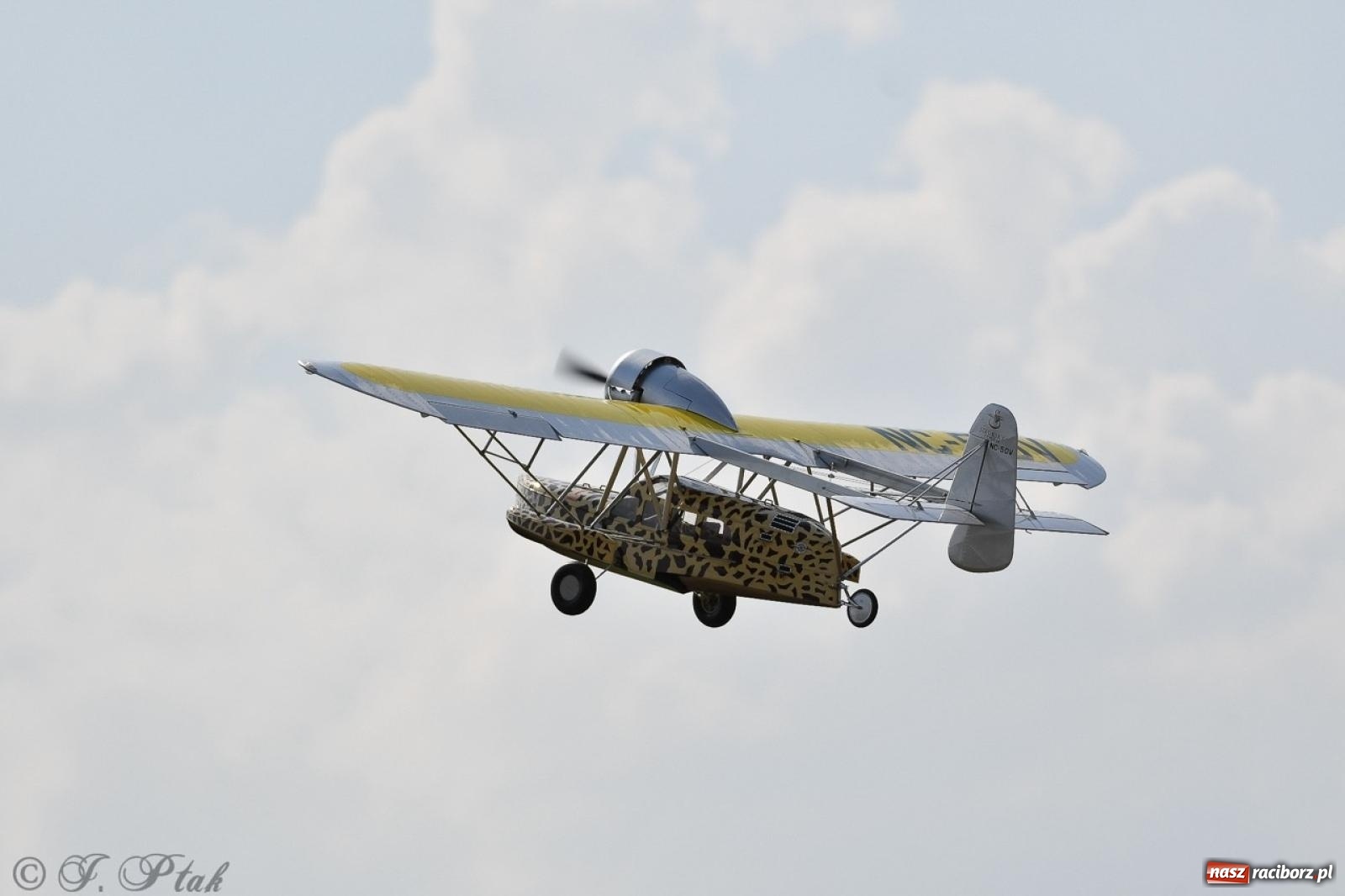 Zdjęcie w galerii na portalu naszraciborz.pl: XVII Międzynarodowy Piknik Modelarski w Raciborzu. W niedzielę drugi dzień pokazów wiadomości z regionu