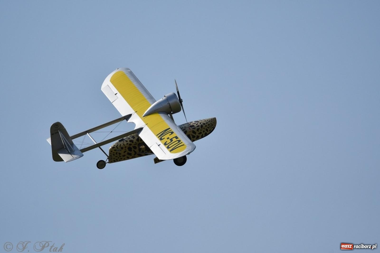 Zdjęcie w galerii na portalu naszraciborz.pl: XVII Międzynarodowy Piknik Modelarski w Raciborzu. W niedzielę drugi dzień pokazów wiadomości z regionu