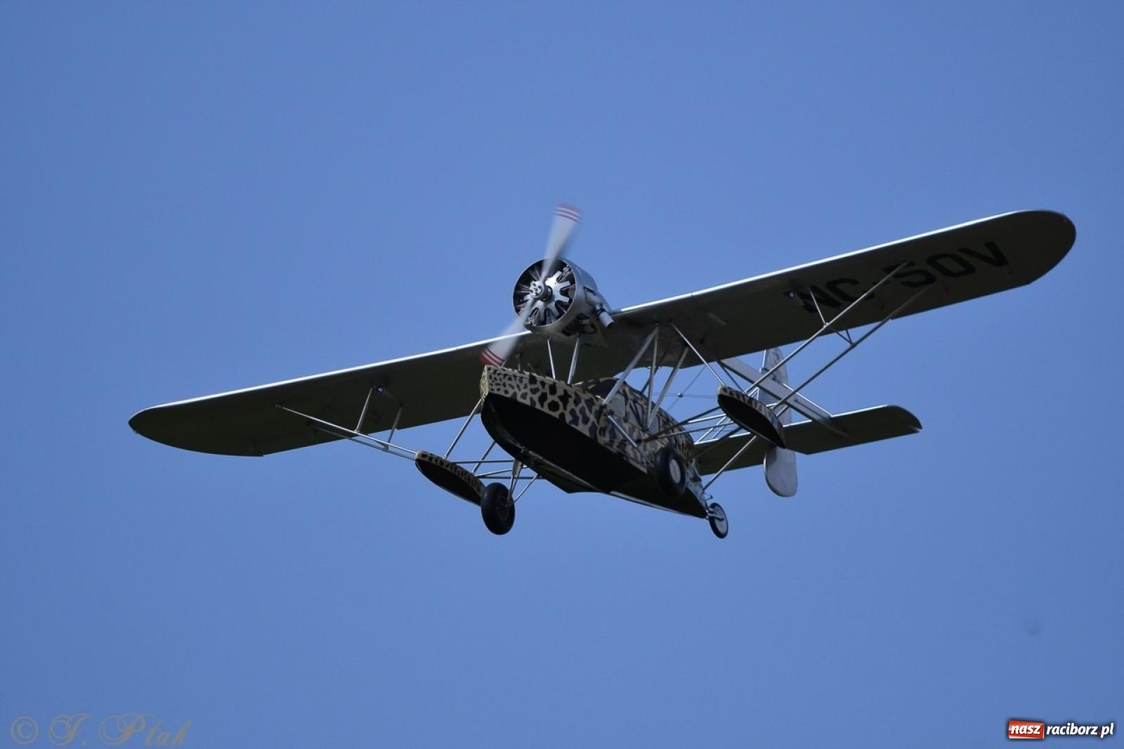 Zdjęcie w galerii na portalu naszraciborz.pl: XVII Międzynarodowy Piknik Modelarski w Raciborzu. W niedzielę drugi dzień pokazów wiadomości z regionu