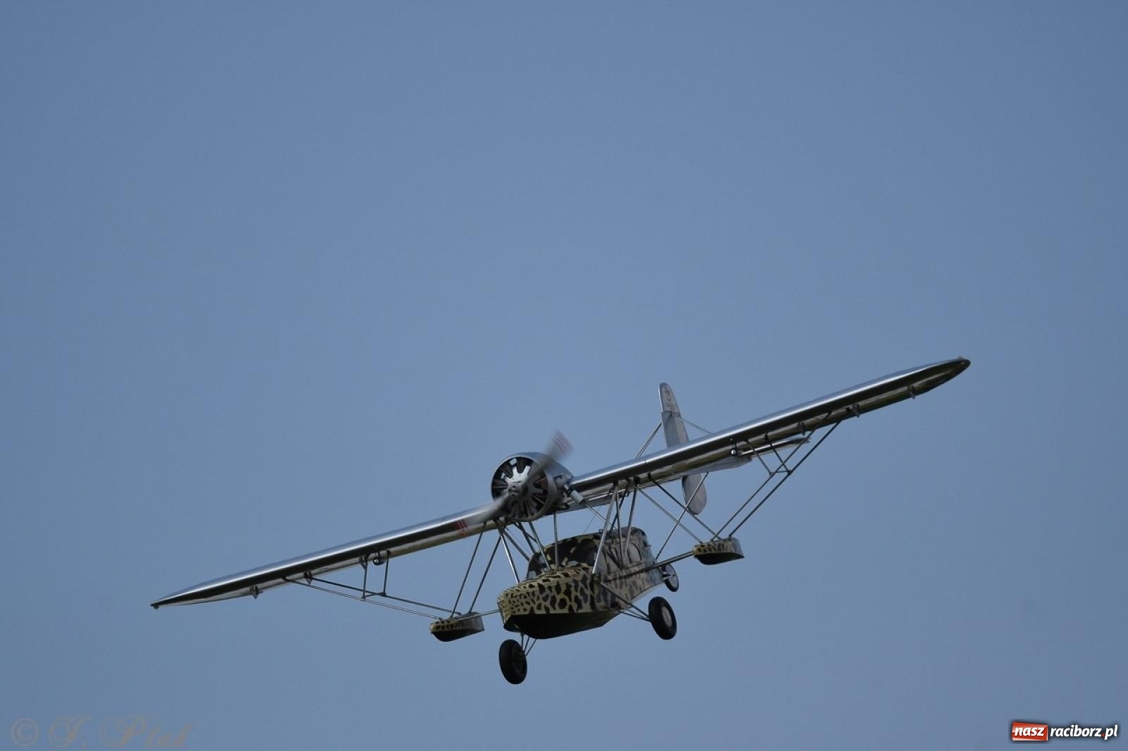 Zdjęcie w galerii na portalu naszraciborz.pl: XVII Międzynarodowy Piknik Modelarski w Raciborzu. W niedzielę drugi dzień pokazów wiadomości z regionu