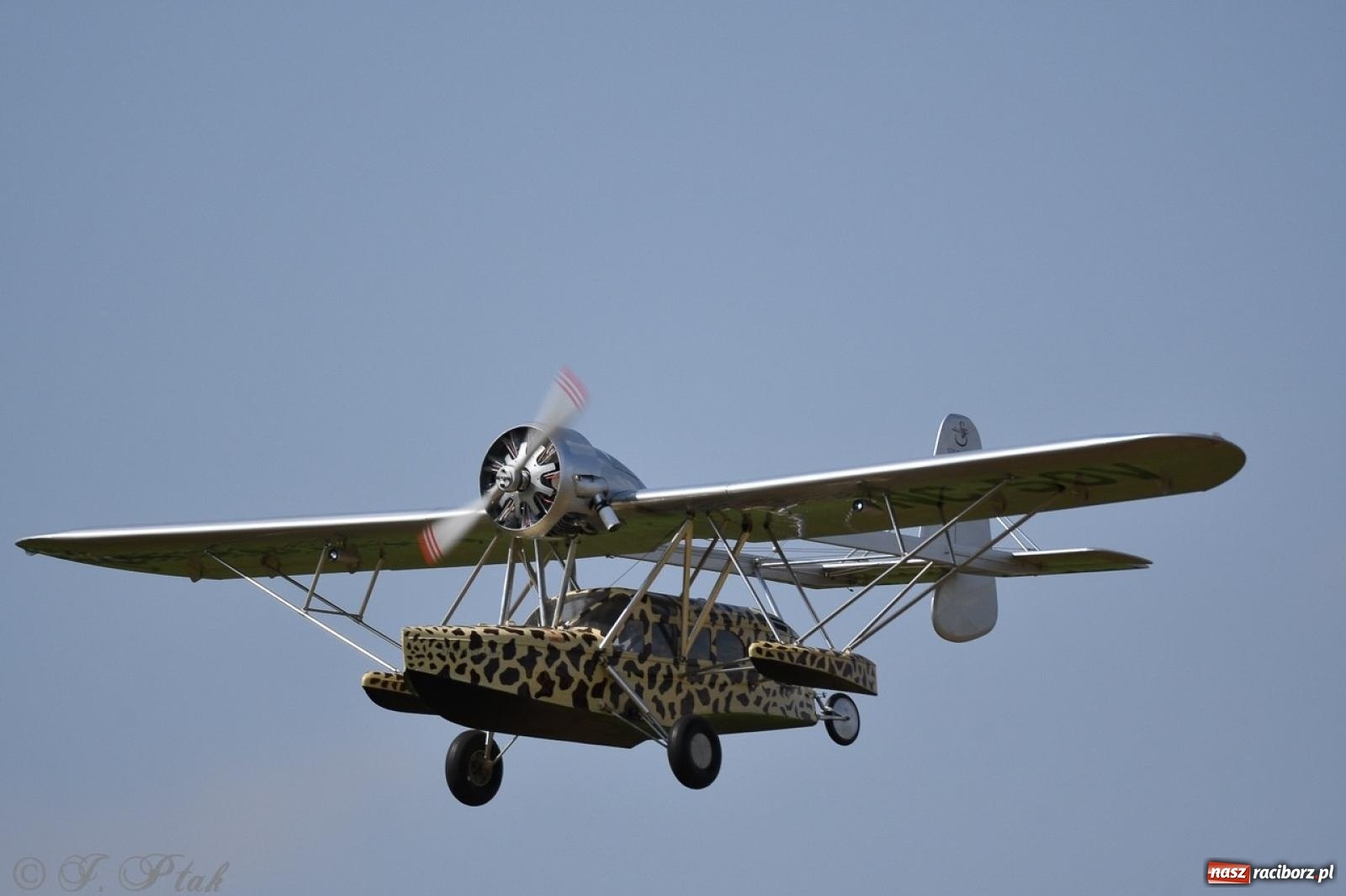 Zdjęcie w galerii na portalu naszraciborz.pl: XVII Międzynarodowy Piknik Modelarski w Raciborzu. W niedzielę drugi dzień pokazów wiadomości z regionu