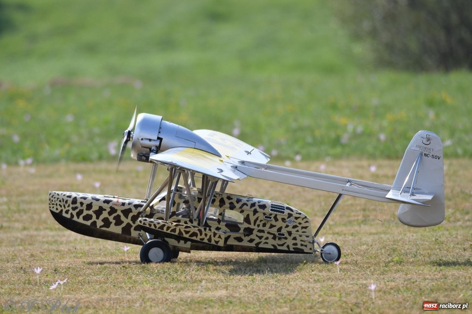 Zdjęcie w galerii na portalu naszraciborz.pl: XVII Międzynarodowy Piknik Modelarski w Raciborzu. W niedzielę drugi dzień pokazów wiadomości z regionu