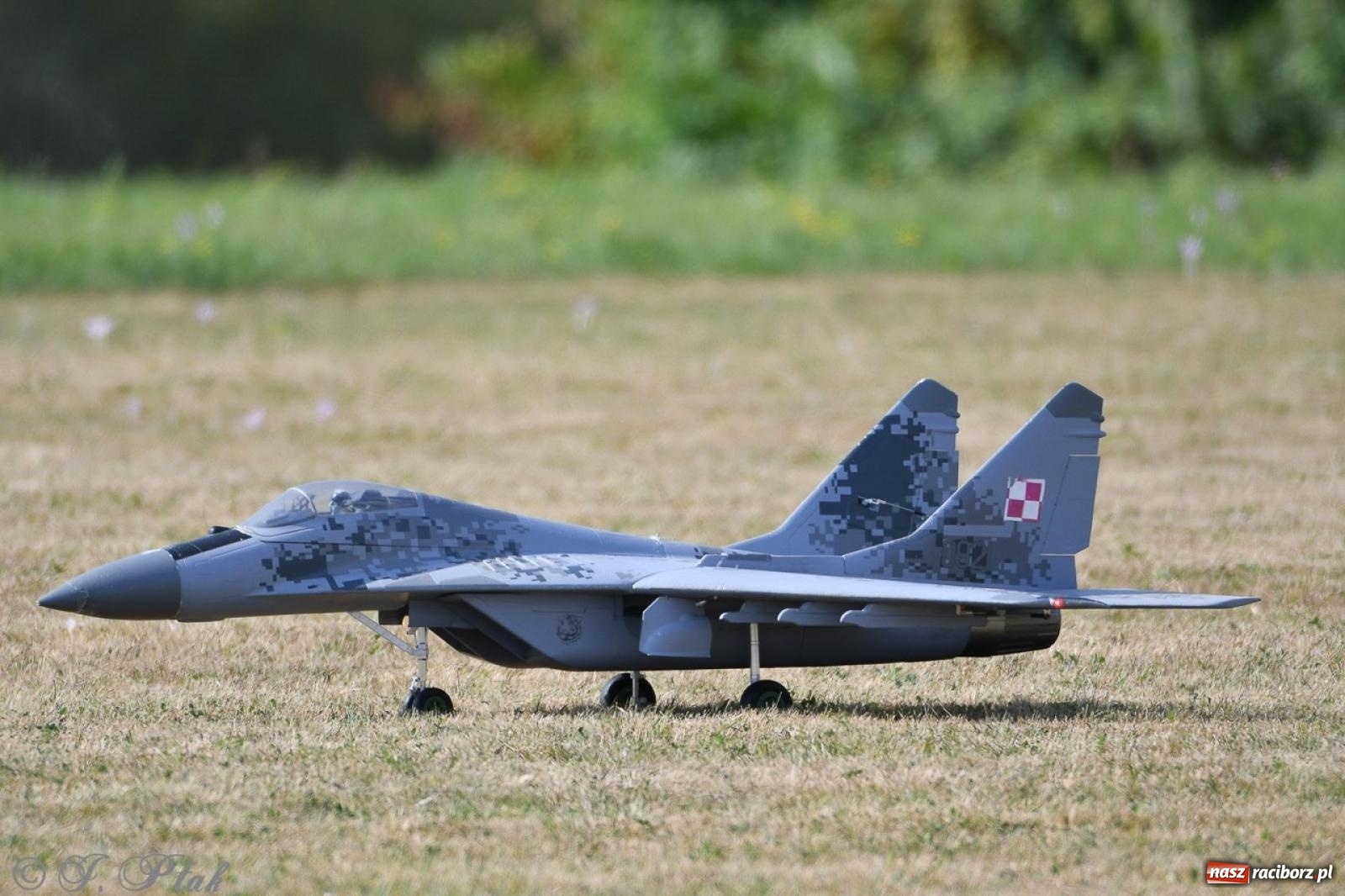 Zdjęcie w galerii na portalu naszraciborz.pl: XVII Międzynarodowy Piknik Modelarski w Raciborzu. W niedzielę drugi dzień pokazów wiadomości z regionu