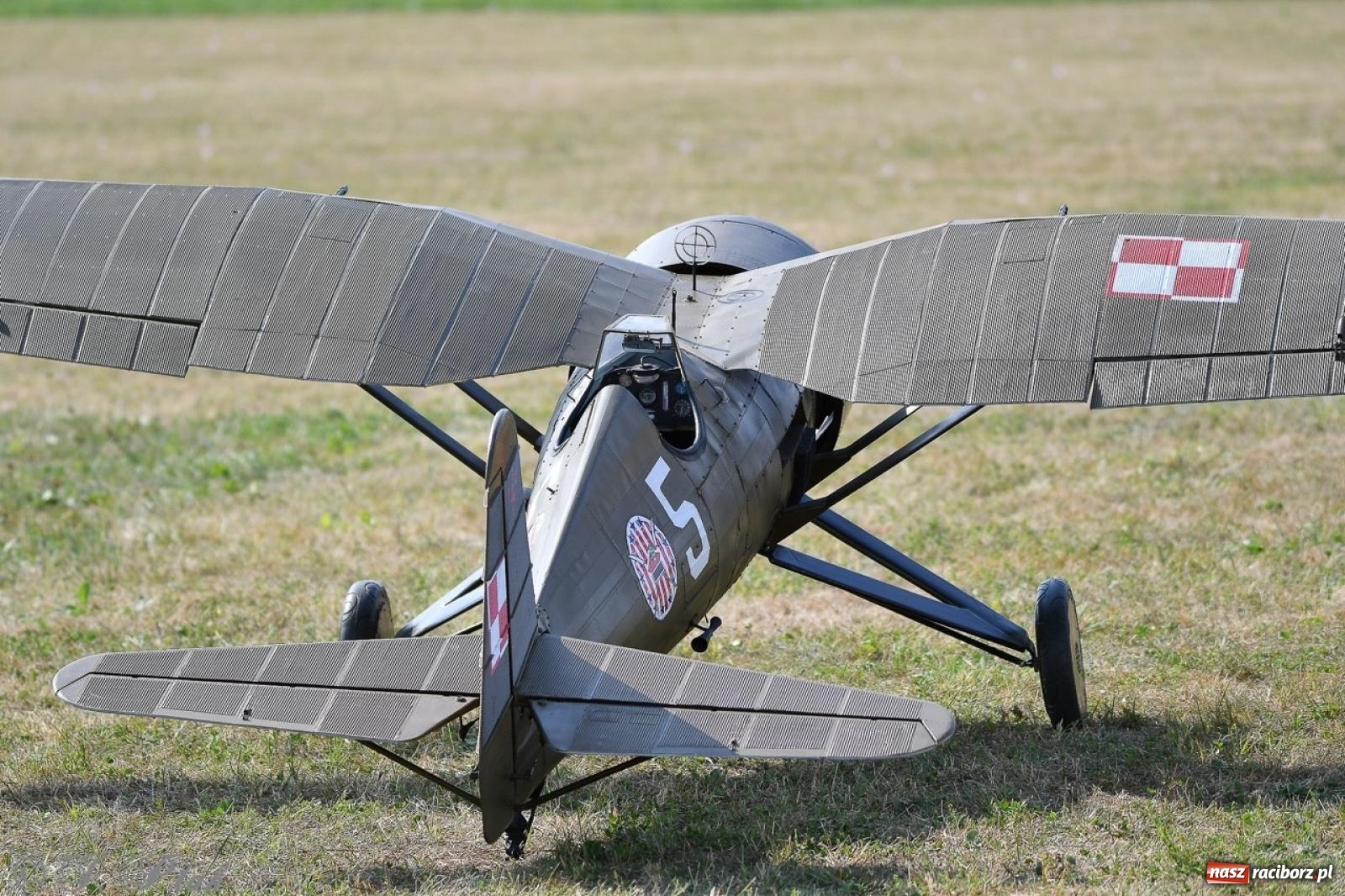 Zdjęcie w galerii na portalu naszraciborz.pl: XVII Międzynarodowy Piknik Modelarski w Raciborzu. W niedzielę drugi dzień pokazów wiadomości z regionu