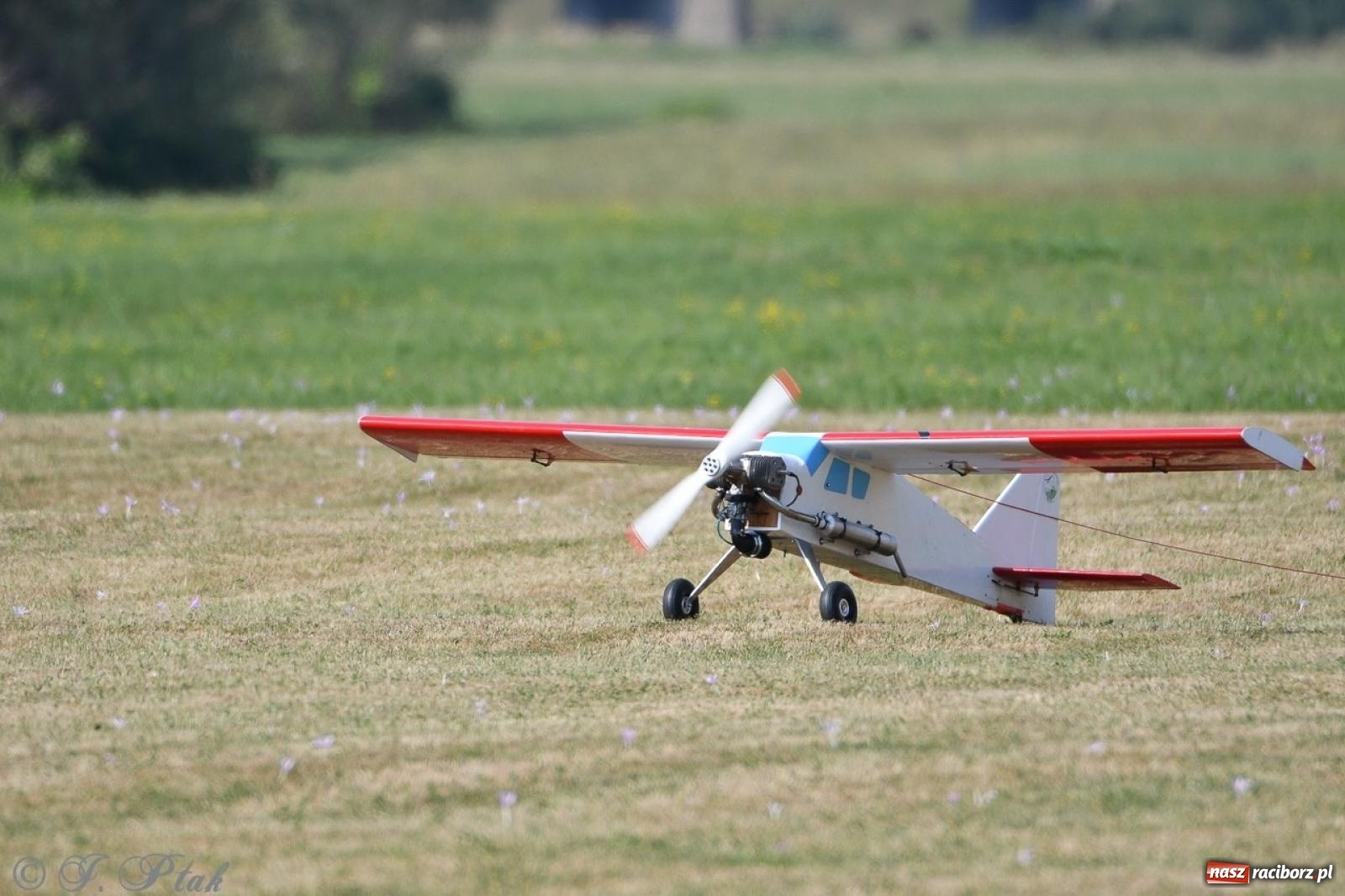 Zdjęcie w galerii na portalu naszraciborz.pl: XVII Międzynarodowy Piknik Modelarski w Raciborzu. W niedzielę drugi dzień pokazów wiadomości z regionu