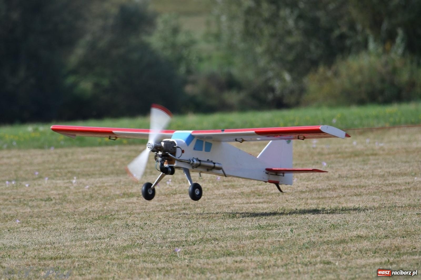 Zdjęcie w galerii na portalu naszraciborz.pl: XVII Międzynarodowy Piknik Modelarski w Raciborzu. W niedzielę drugi dzień pokazów wiadomości z regionu