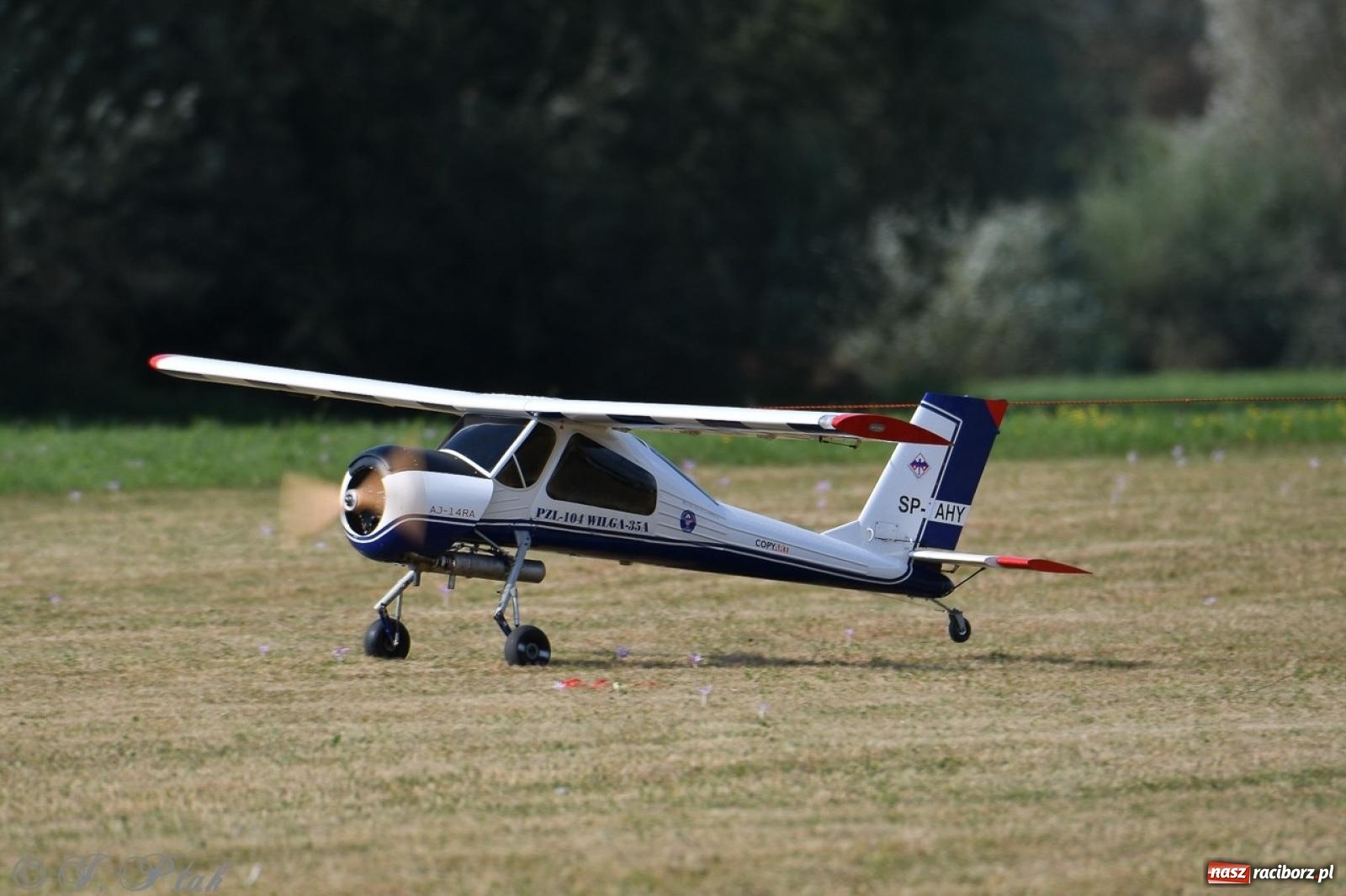 Zdjęcie w galerii na portalu naszraciborz.pl: XVII Międzynarodowy Piknik Modelarski w Raciborzu. W niedzielę drugi dzień pokazów wiadomości z regionu