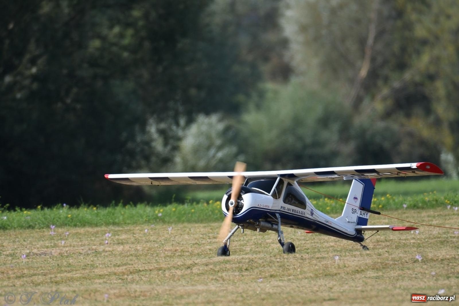 Zdjęcie w galerii na portalu naszraciborz.pl: XVII Międzynarodowy Piknik Modelarski w Raciborzu. W niedzielę drugi dzień pokazów wiadomości z regionu