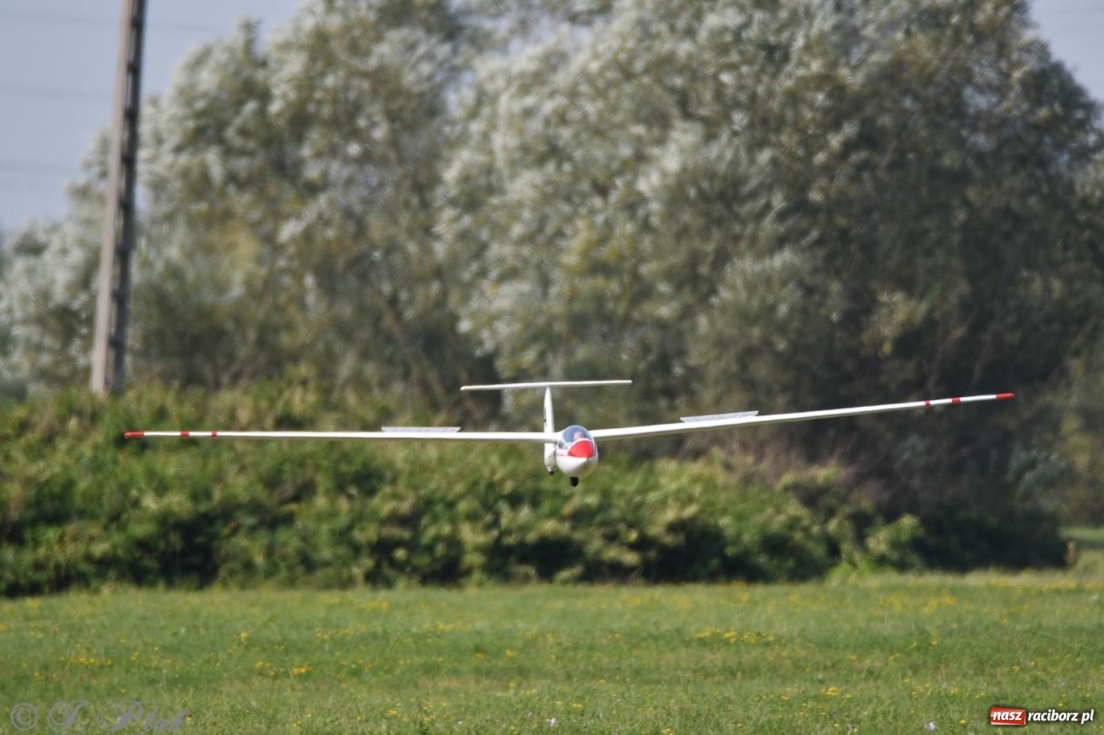 Zdjęcie w galerii na portalu naszraciborz.pl: XVII Międzynarodowy Piknik Modelarski w Raciborzu. W niedzielę drugi dzień pokazów wiadomości z regionu