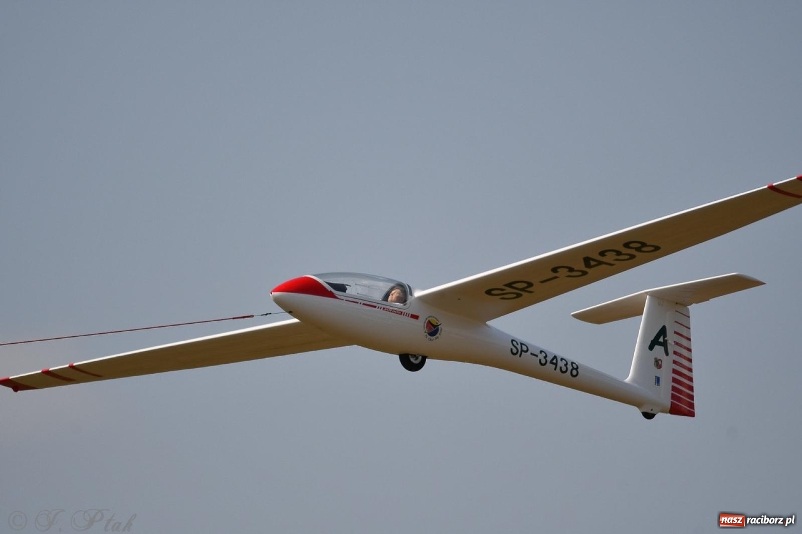 Zdjęcie w galerii na portalu naszraciborz.pl: XVII Międzynarodowy Piknik Modelarski w Raciborzu. W niedzielę drugi dzień pokazów wiadomości z regionu