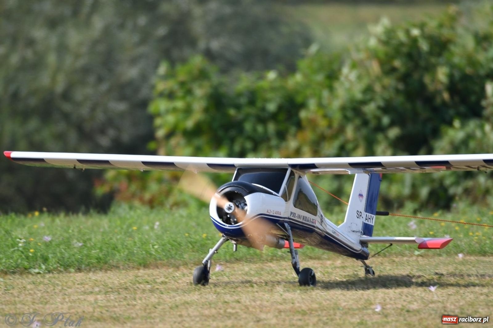 Zdjęcie w galerii na portalu naszraciborz.pl: XVII Międzynarodowy Piknik Modelarski w Raciborzu. W niedzielę drugi dzień pokazów wiadomości z regionu