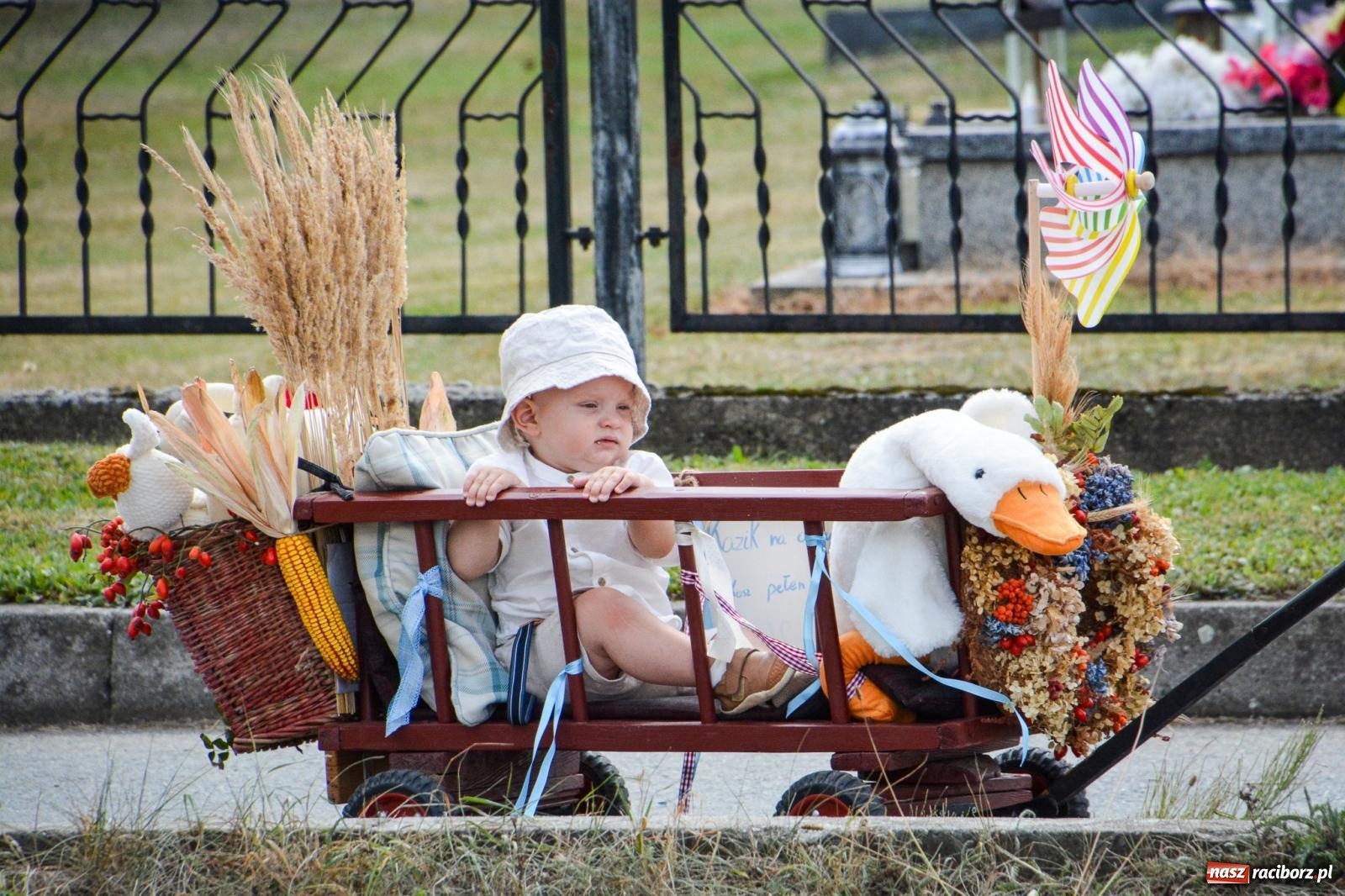 Zdjęcie w galerii na portalu naszraciborz.pl: Dożynki w Samborowicach – kolorowy korowód i rodzinna zabawa [FOTO i WIDEO] wiadomości z regionu