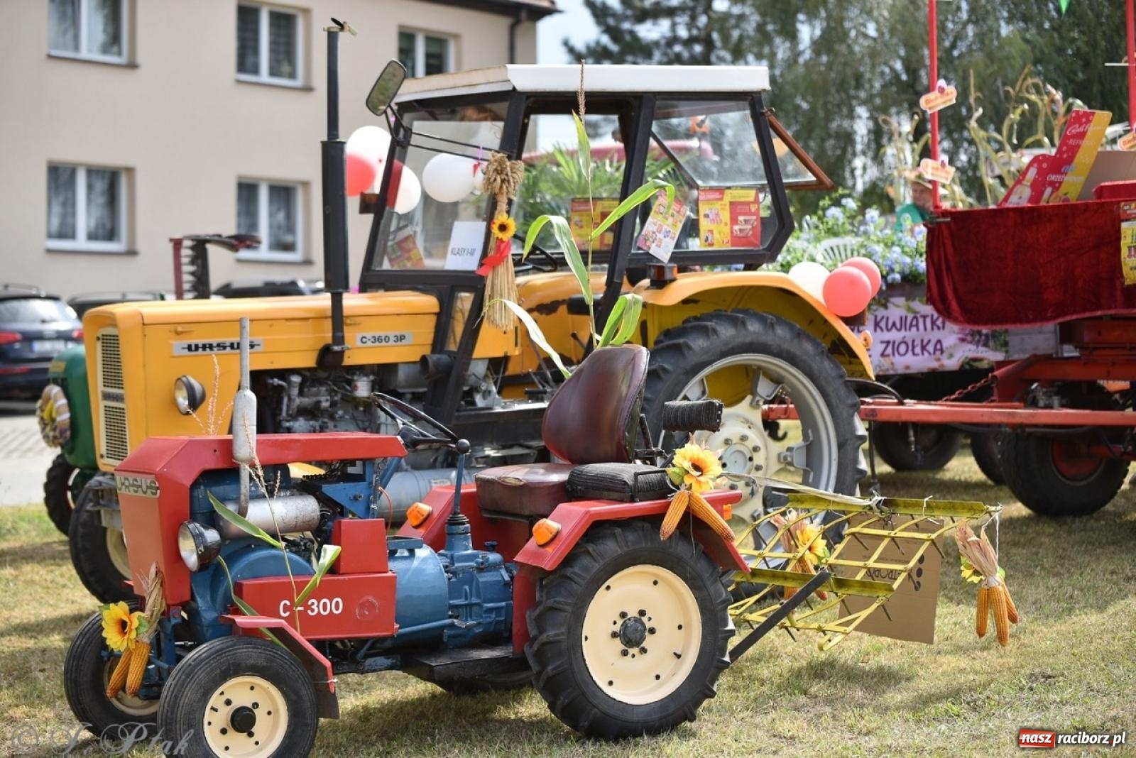 Zdjęcie w galerii na portalu naszraciborz.pl: Dożynki w Samborowicach – kolorowy korowód i rodzinna zabawa [FOTO i WIDEO] wiadomości z regionu