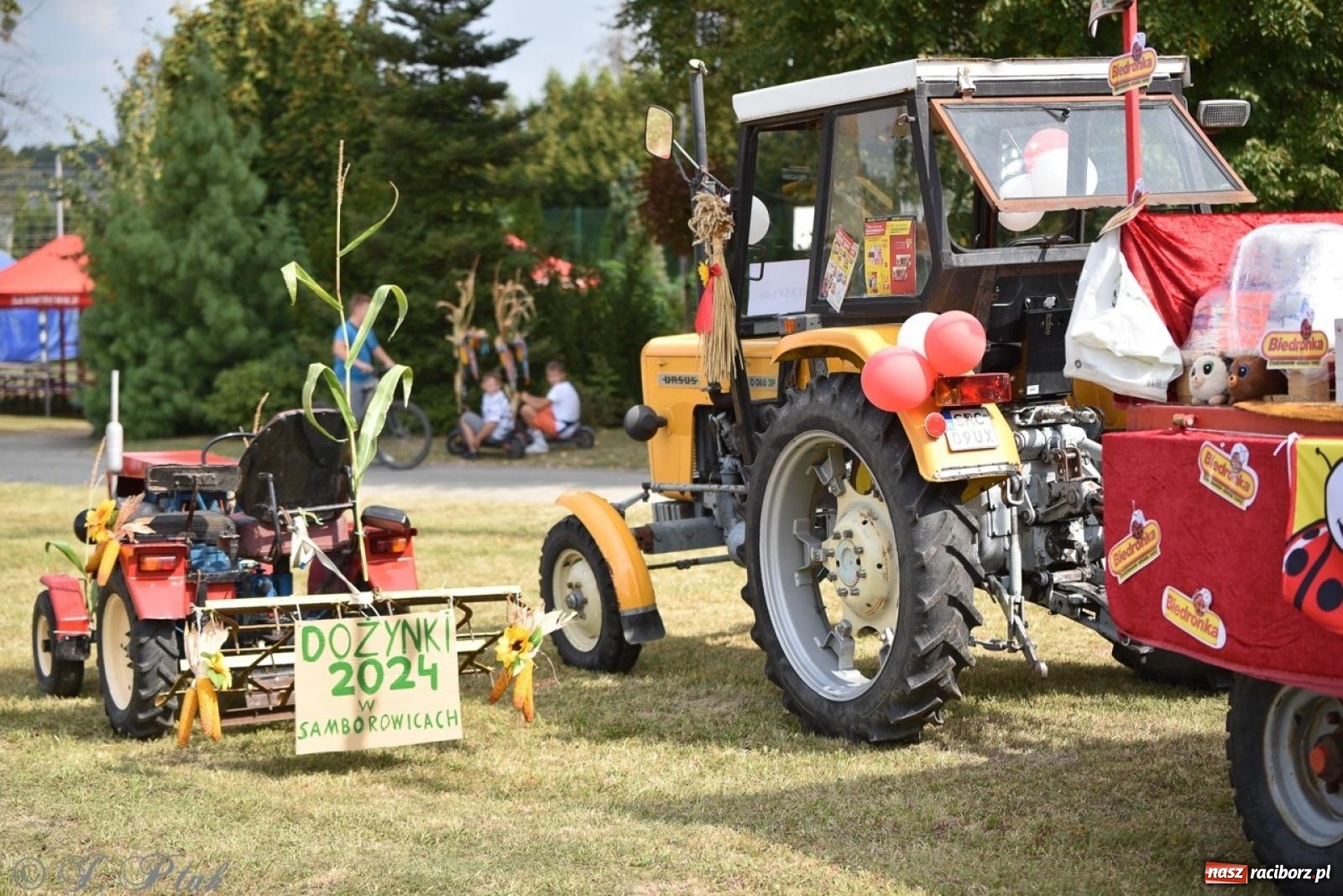 Zdjęcie w galerii na portalu naszraciborz.pl: Dożynki w Samborowicach – kolorowy korowód i rodzinna zabawa [FOTO i WIDEO] wiadomości z regionu
