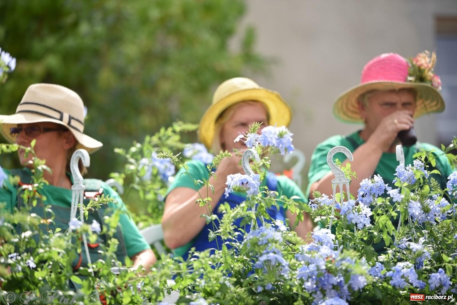 Zdjęcie w galerii na portalu naszraciborz.pl: Dożynki w Samborowicach – kolorowy korowód i rodzinna zabawa [FOTO i WIDEO] wiadomości z regionu