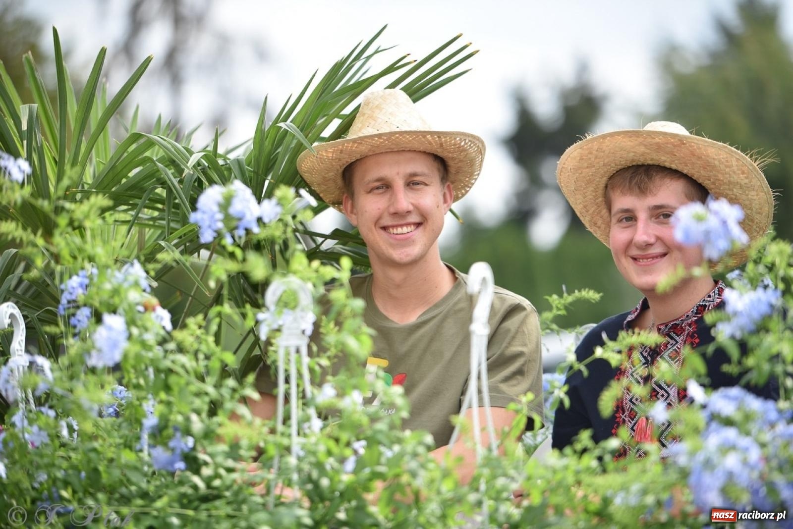 Zdjęcie w galerii na portalu naszraciborz.pl: Dożynki w Samborowicach – kolorowy korowód i rodzinna zabawa [FOTO i WIDEO] wiadomości z regionu