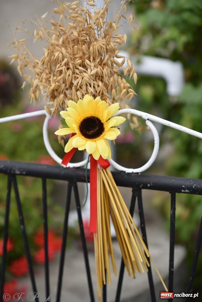 Zdjęcie w galerii na portalu naszraciborz.pl: Dożynki w Samborowicach – kolorowy korowód i rodzinna zabawa [FOTO i WIDEO] wiadomości z regionu