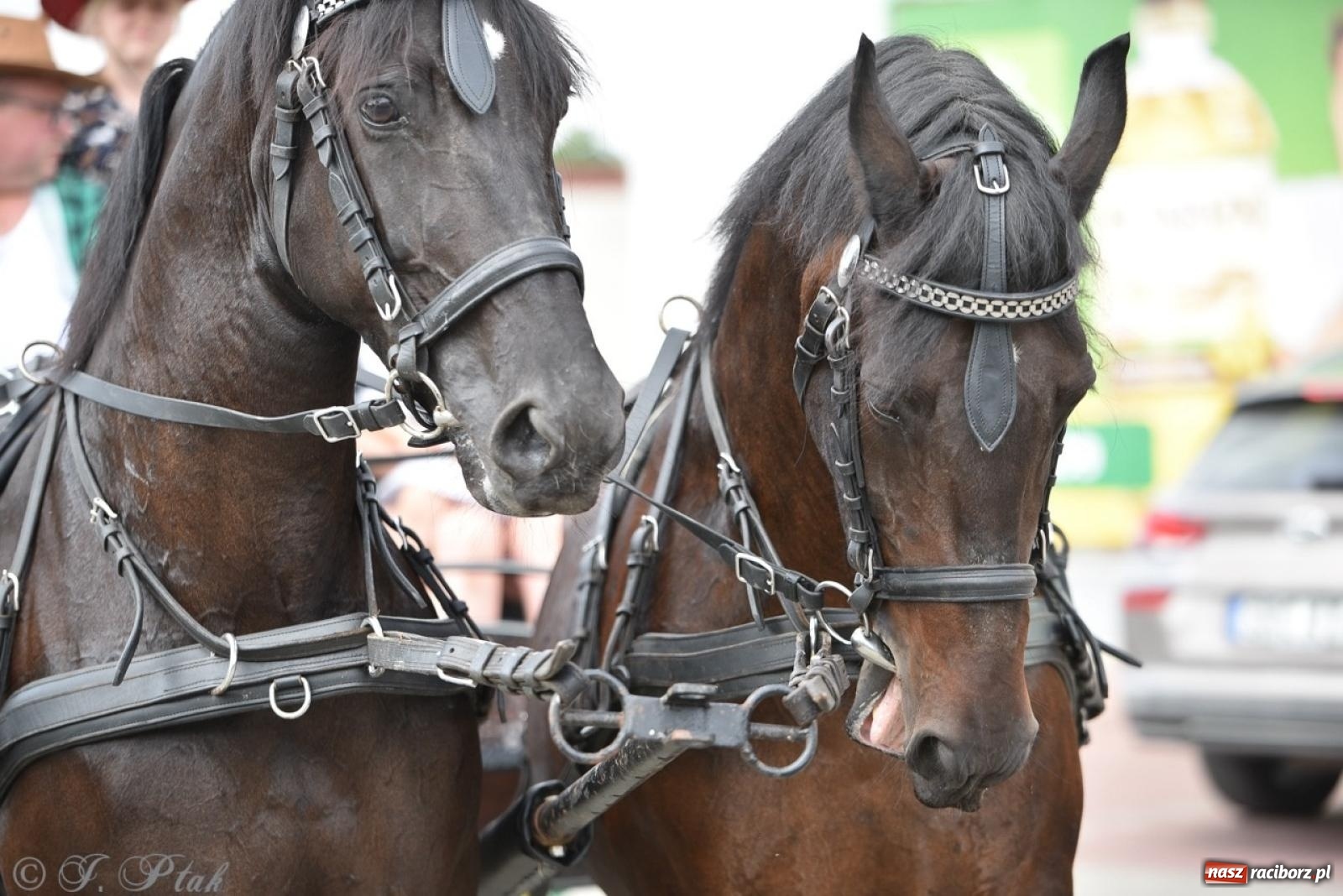 Zdjęcie w galerii na portalu naszraciborz.pl: Kolorowe pożegnanie Lata w Krzanowicach [FOTO i WIDEO] wiadomości z regionu